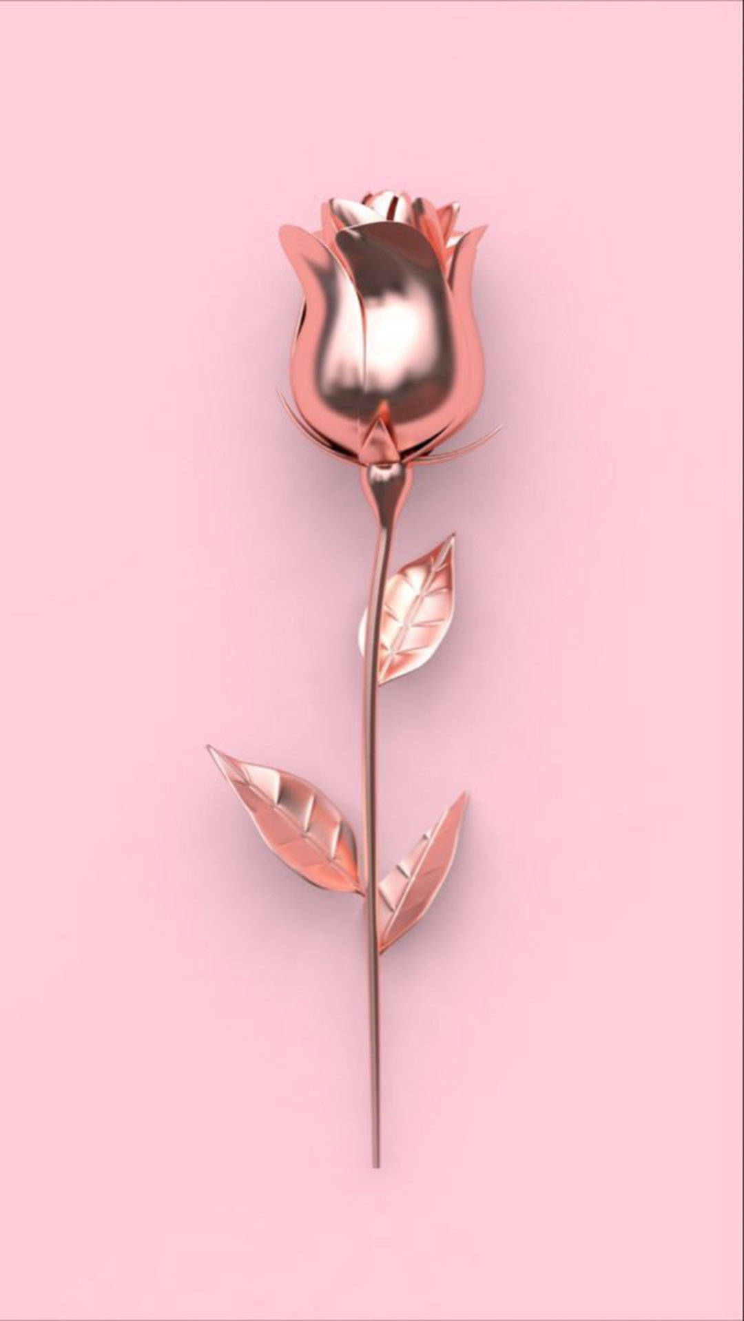 Flower Rose Gold Iphone Background