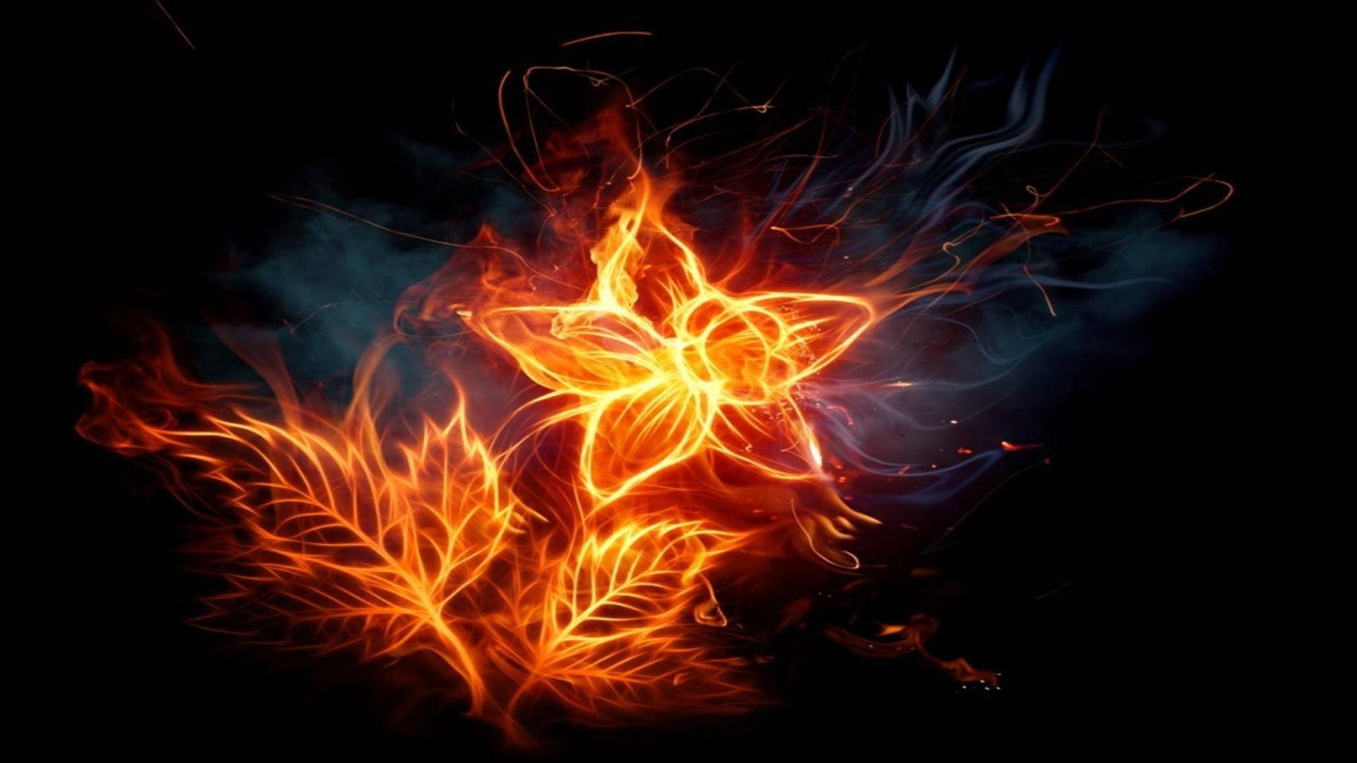 Flower With Leaves Fire Background Background