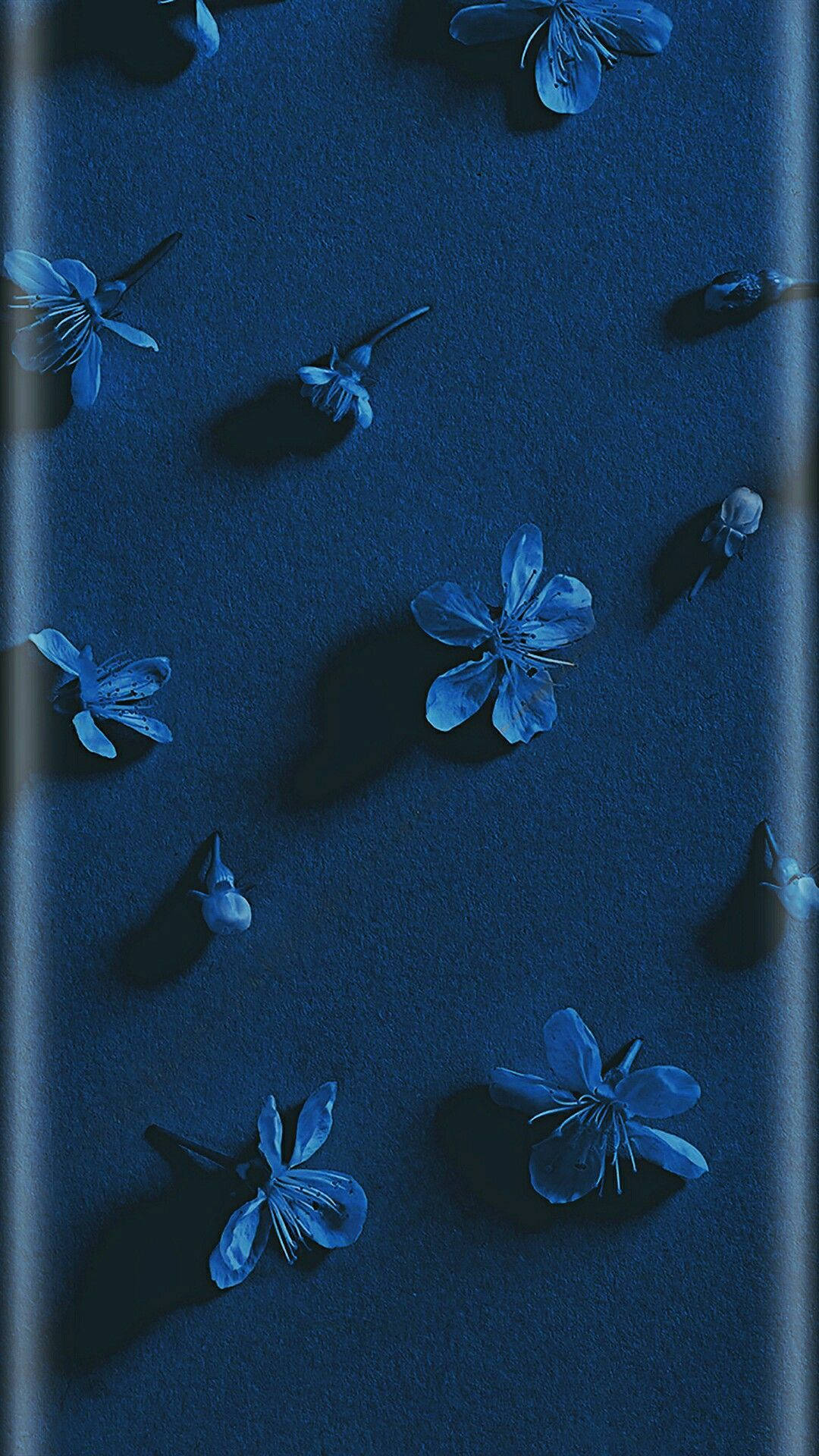 Flowers Aesthetic Dark Blue Hd Background