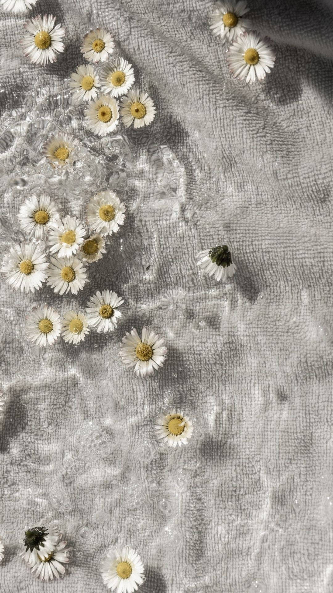 Flowers Aesthetic On Cloth