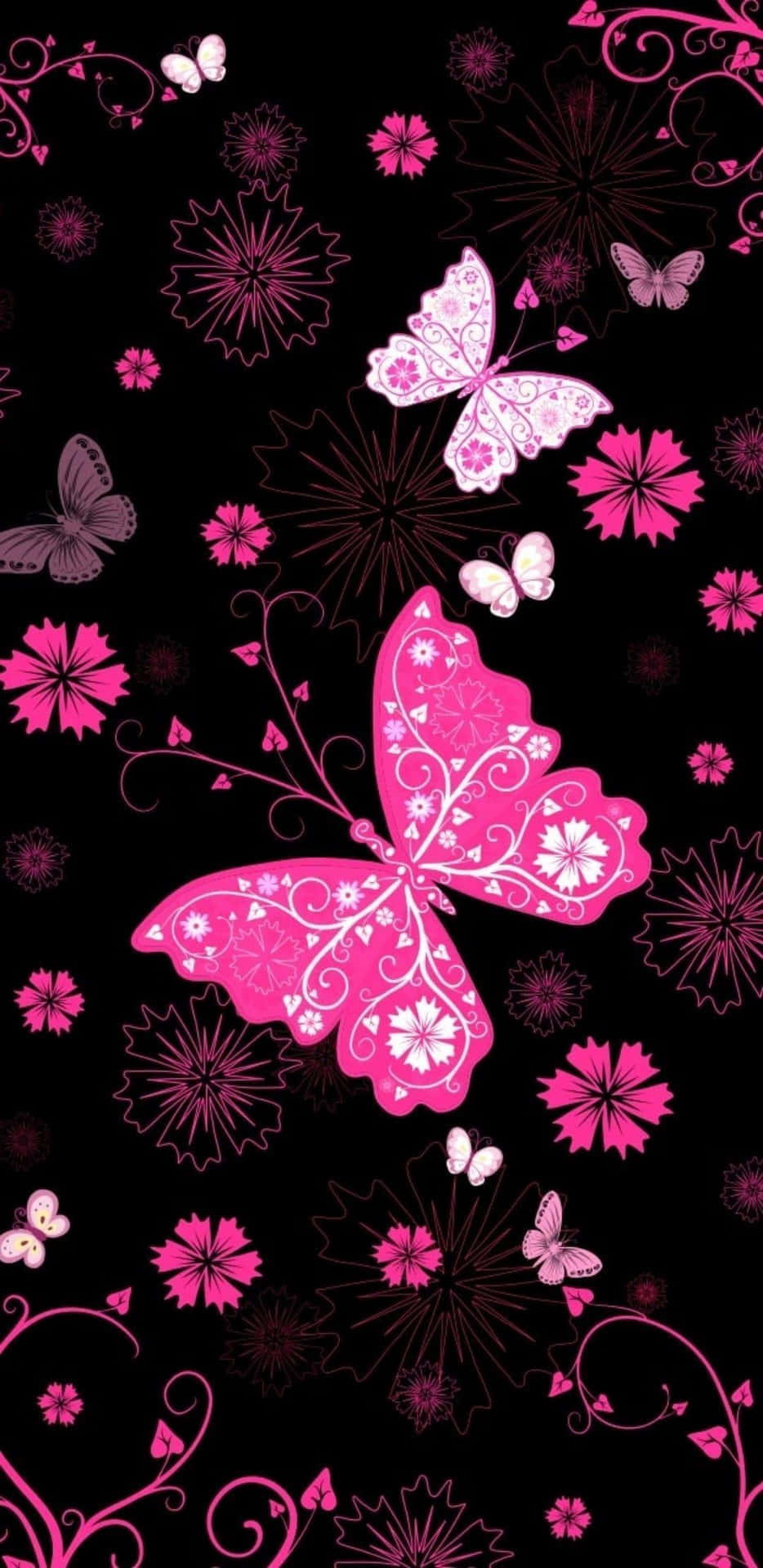 Flowers And Butterflies Black And Pink Iphone Background