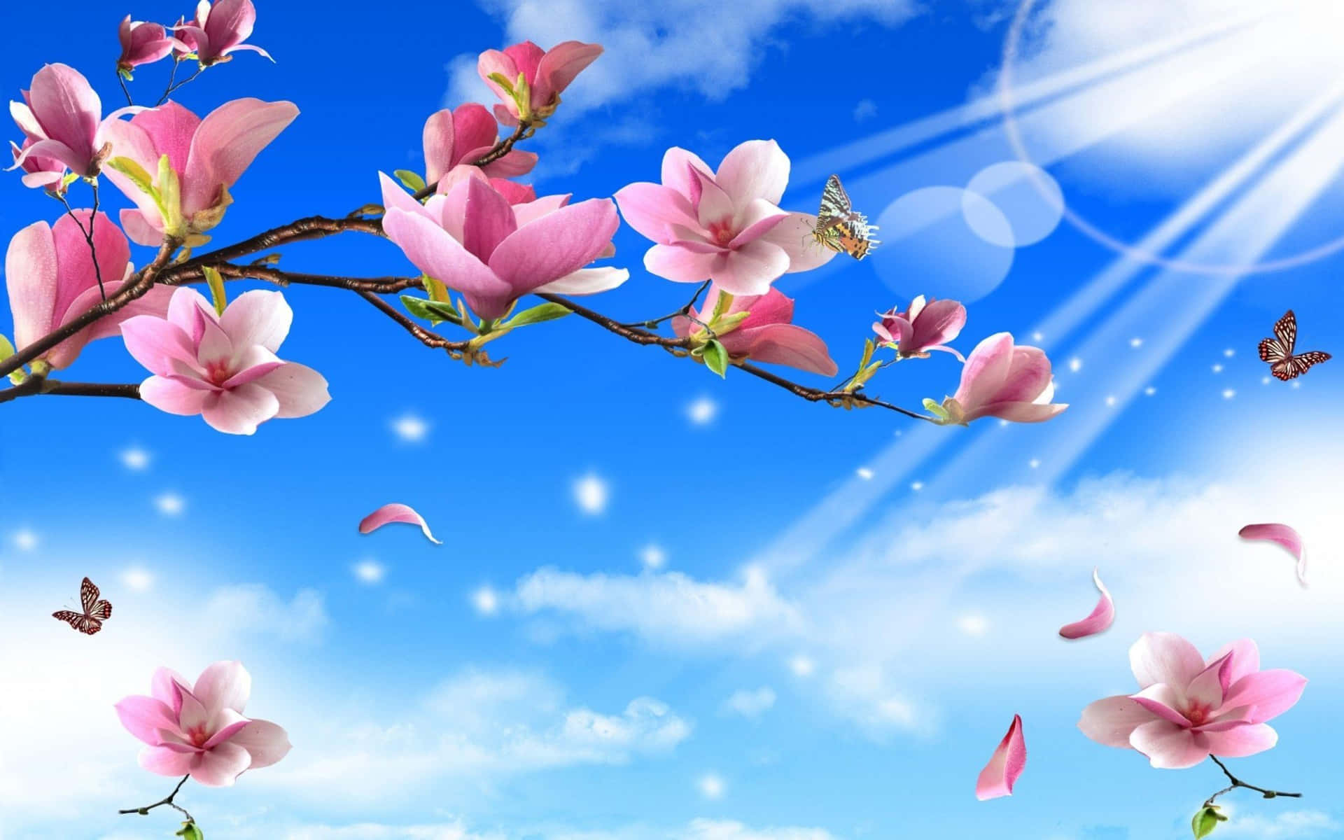 Flowers And Butterflies Sunny Day Background