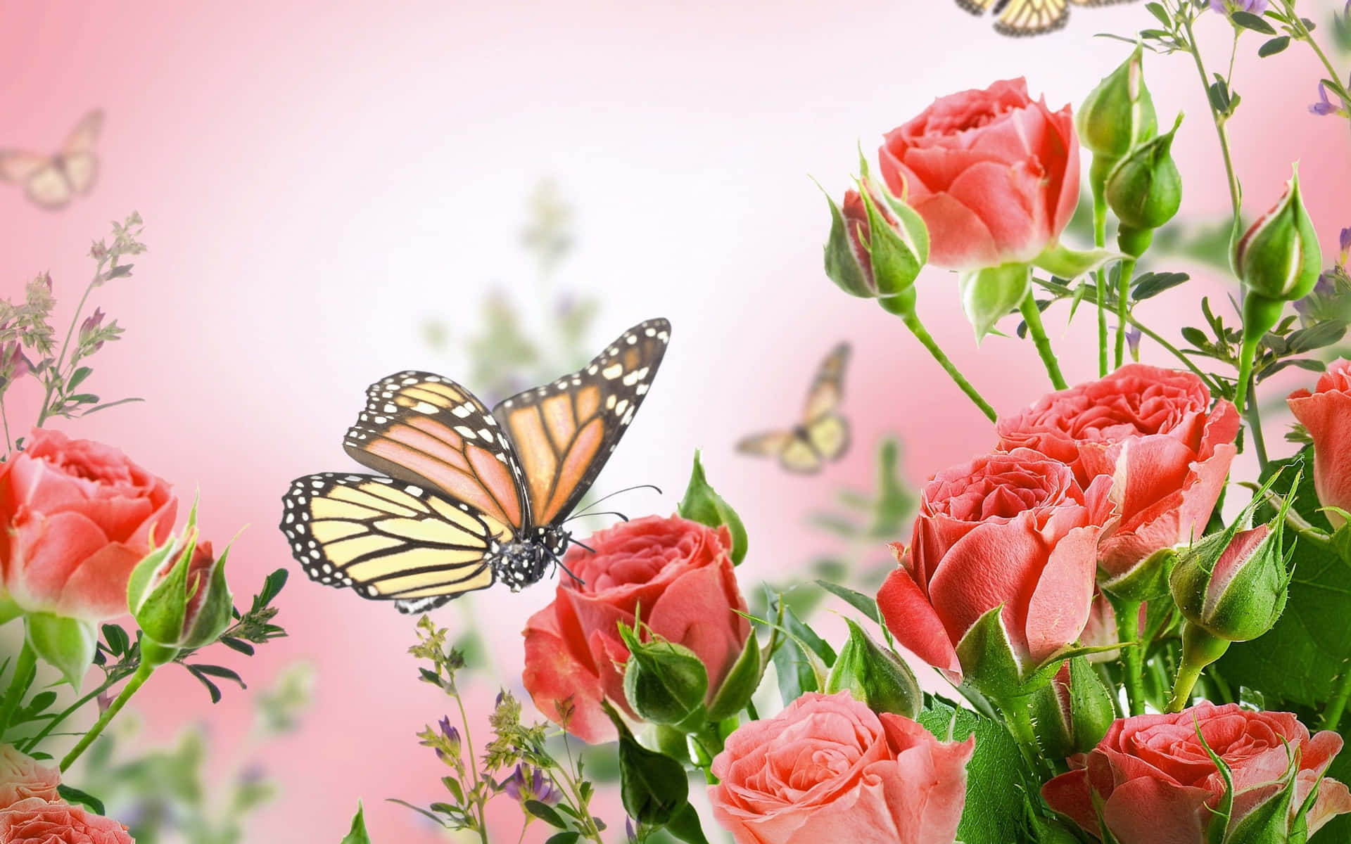 Flowers And Butterflies Windows Screen Hd Background