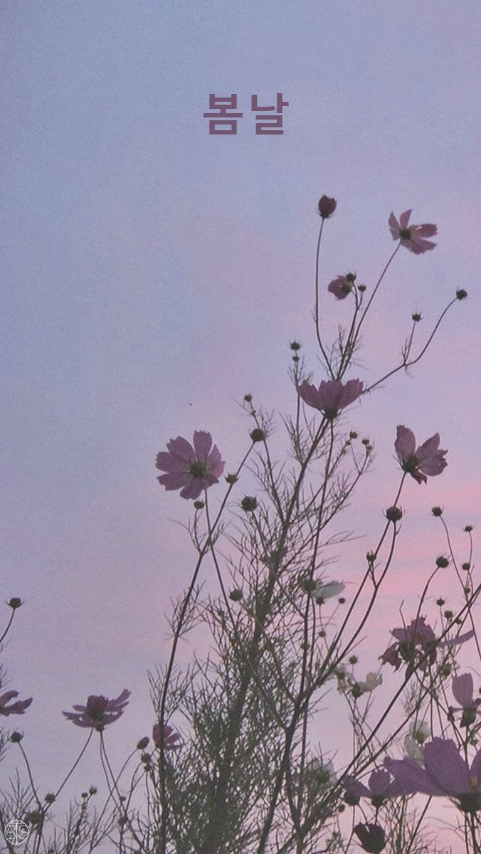 Flowers And Message From Korea Background