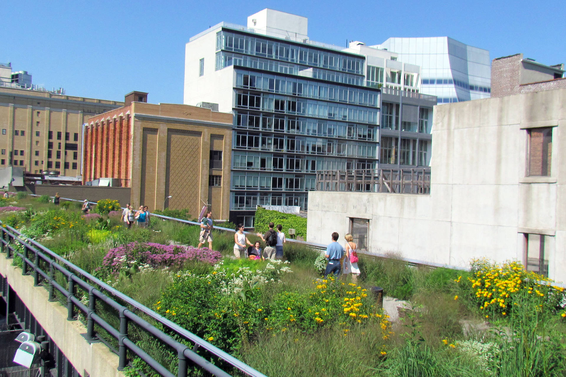 Flowers At The High Line