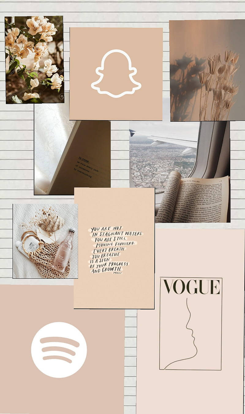 Flowers Beige Aesthetic Collage