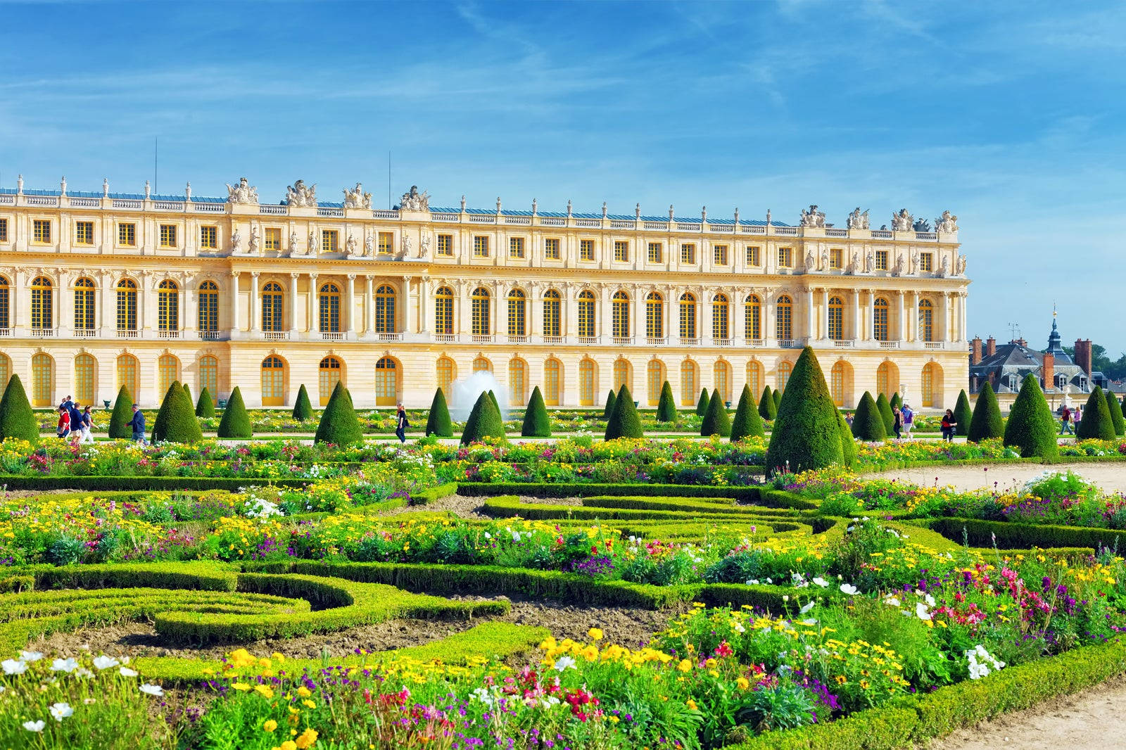 Flowers Blooming In The Gardens Of The Palace Of Versailles Background
