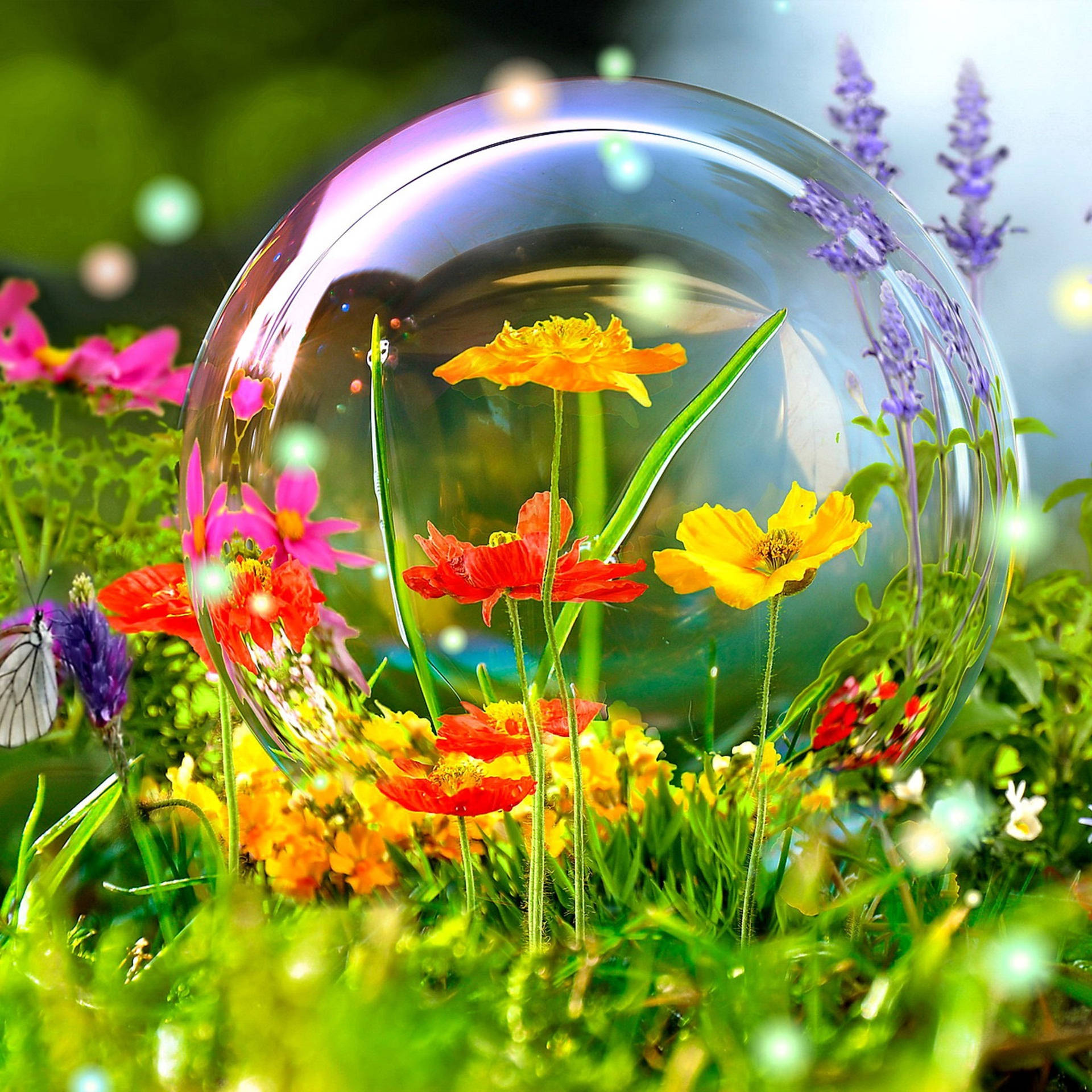 Flowers In A Bubble Nature Summer Screen Saver Background