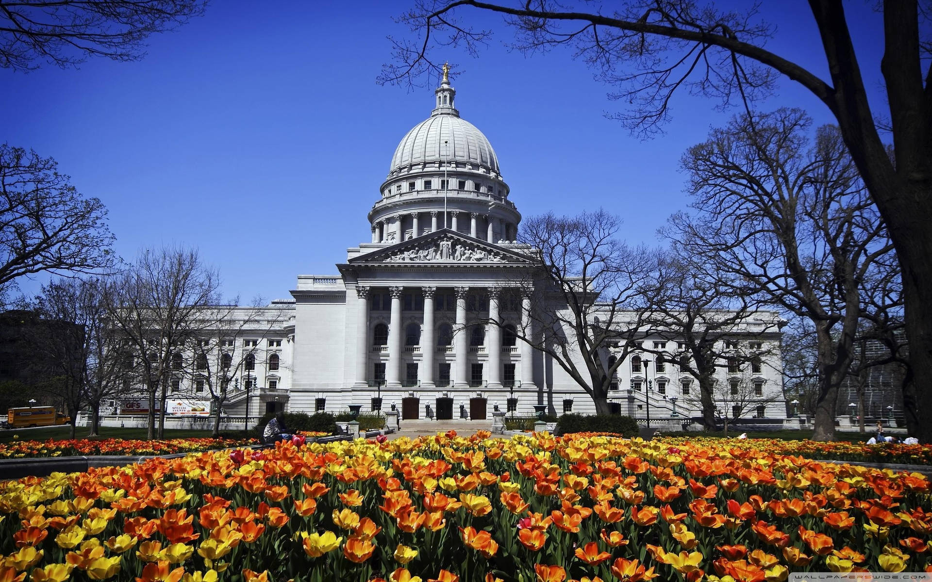 Flowers In Front Capitol Hill Background