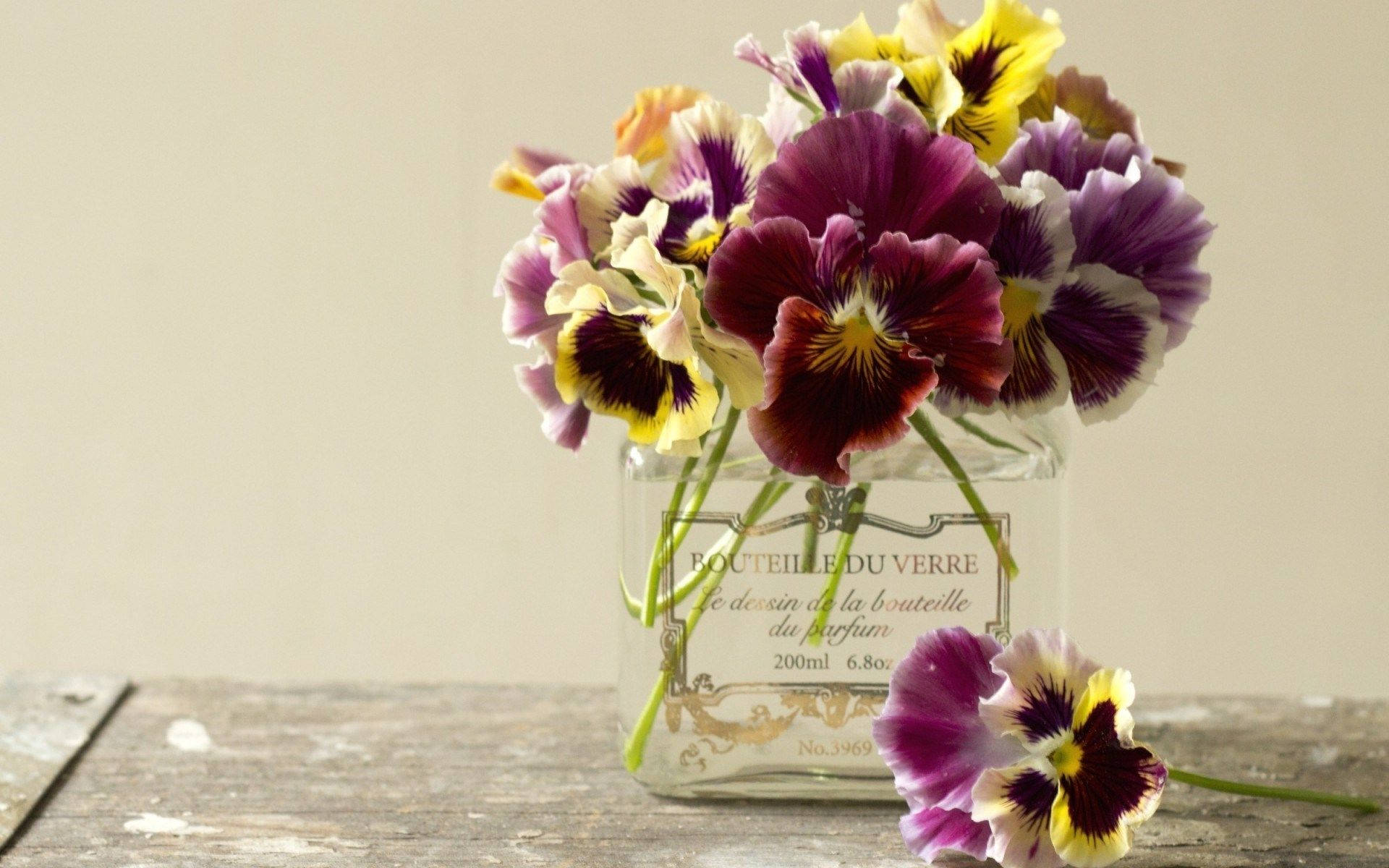 Flowers In Perfume Bottle Flower Vase Background