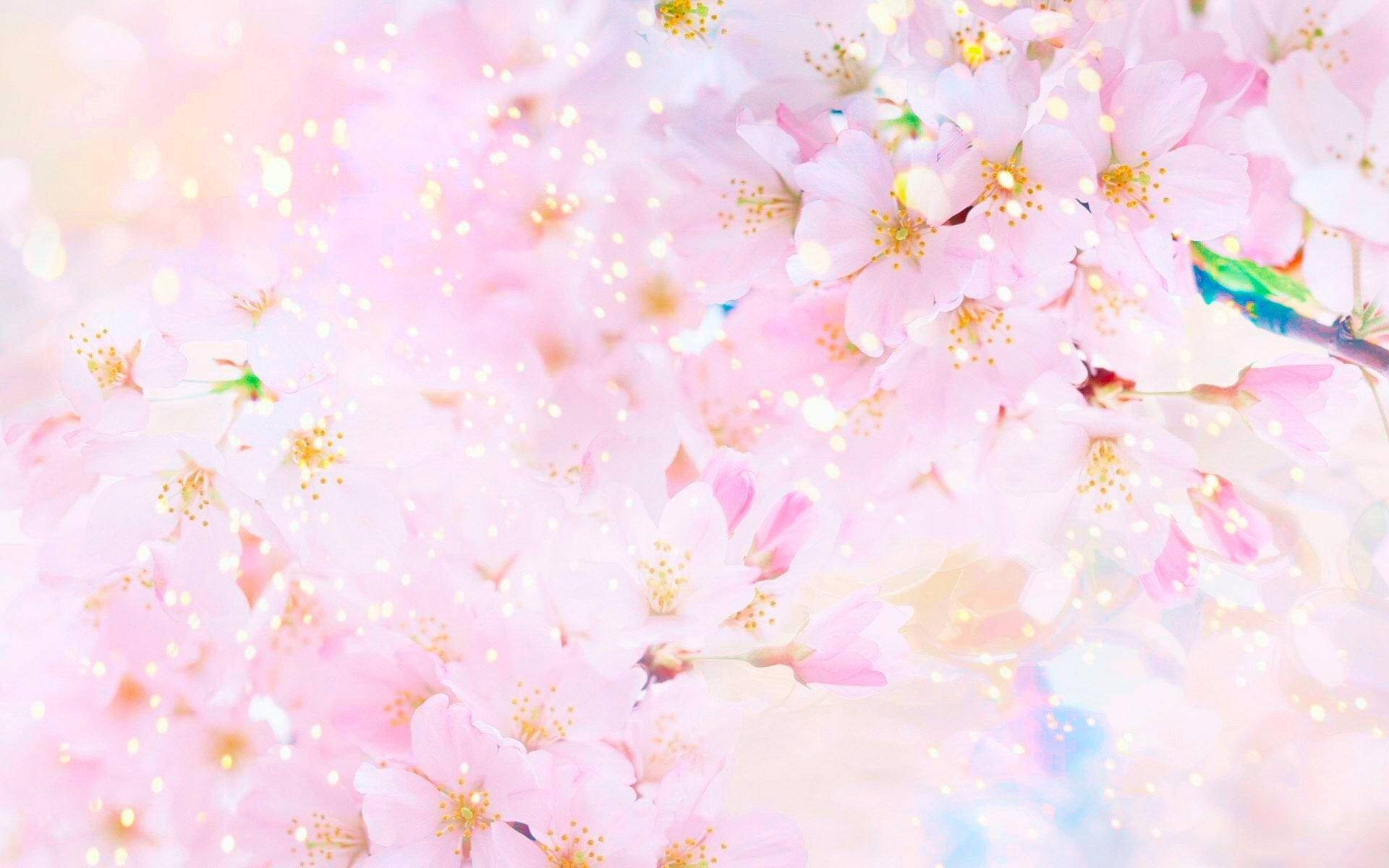 Flowers In Pink Pastel Aesthetic Desktop Background