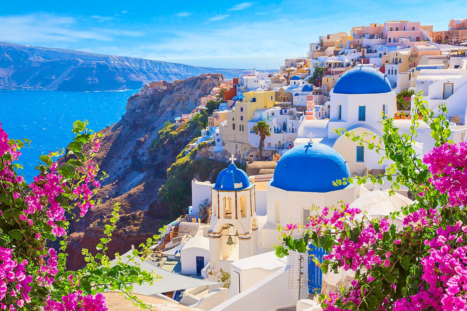 Flowers In Santorini Background