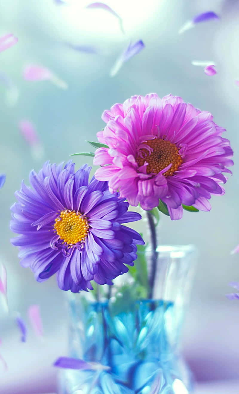 Flowers Nature Purple And Pink Background