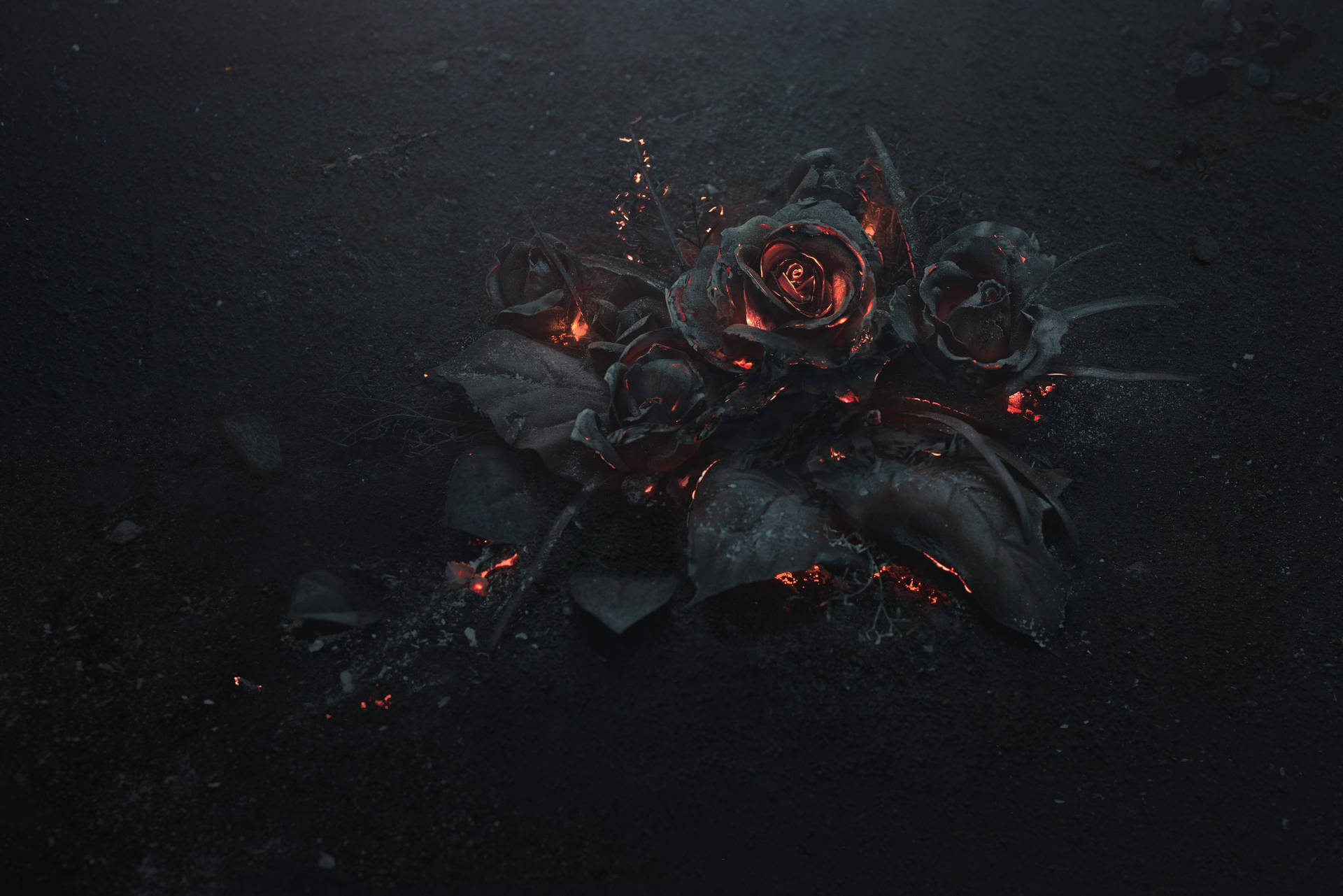 Flowers On 4k Fire Background