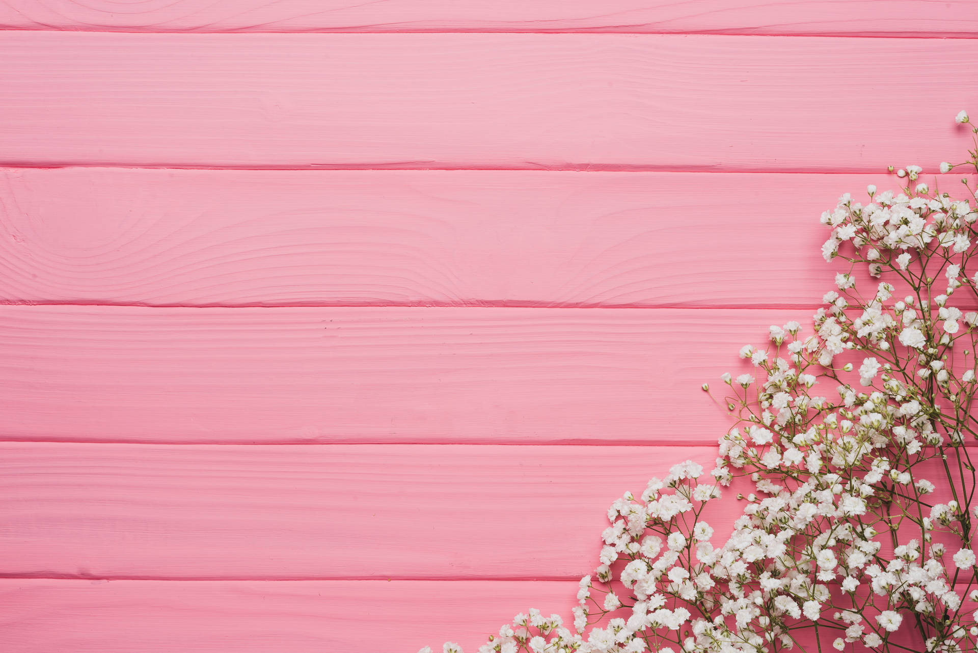 Flowers Pink Color Wooden Surface Background