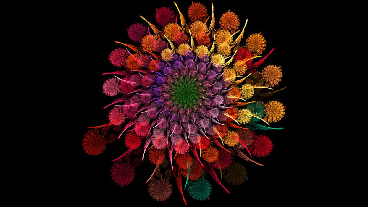 Flowers Wheel With Black Background Background