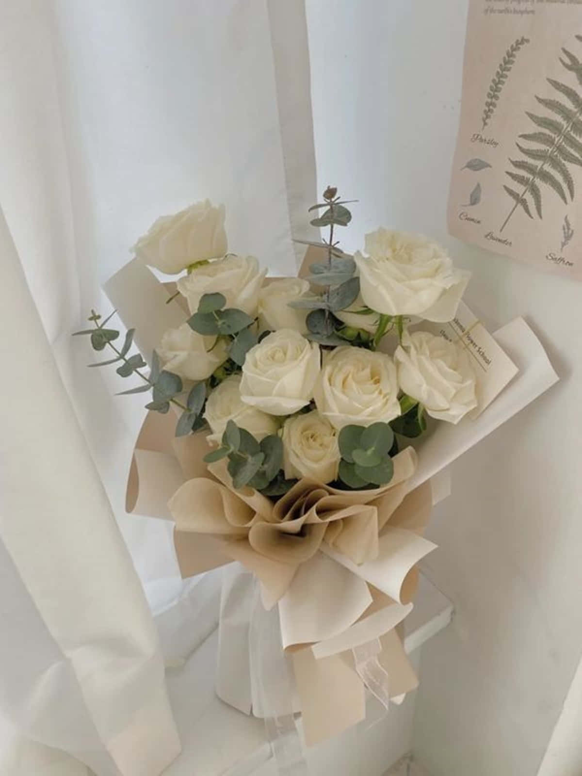 Flowers White Rose Aesthetic Bouquet