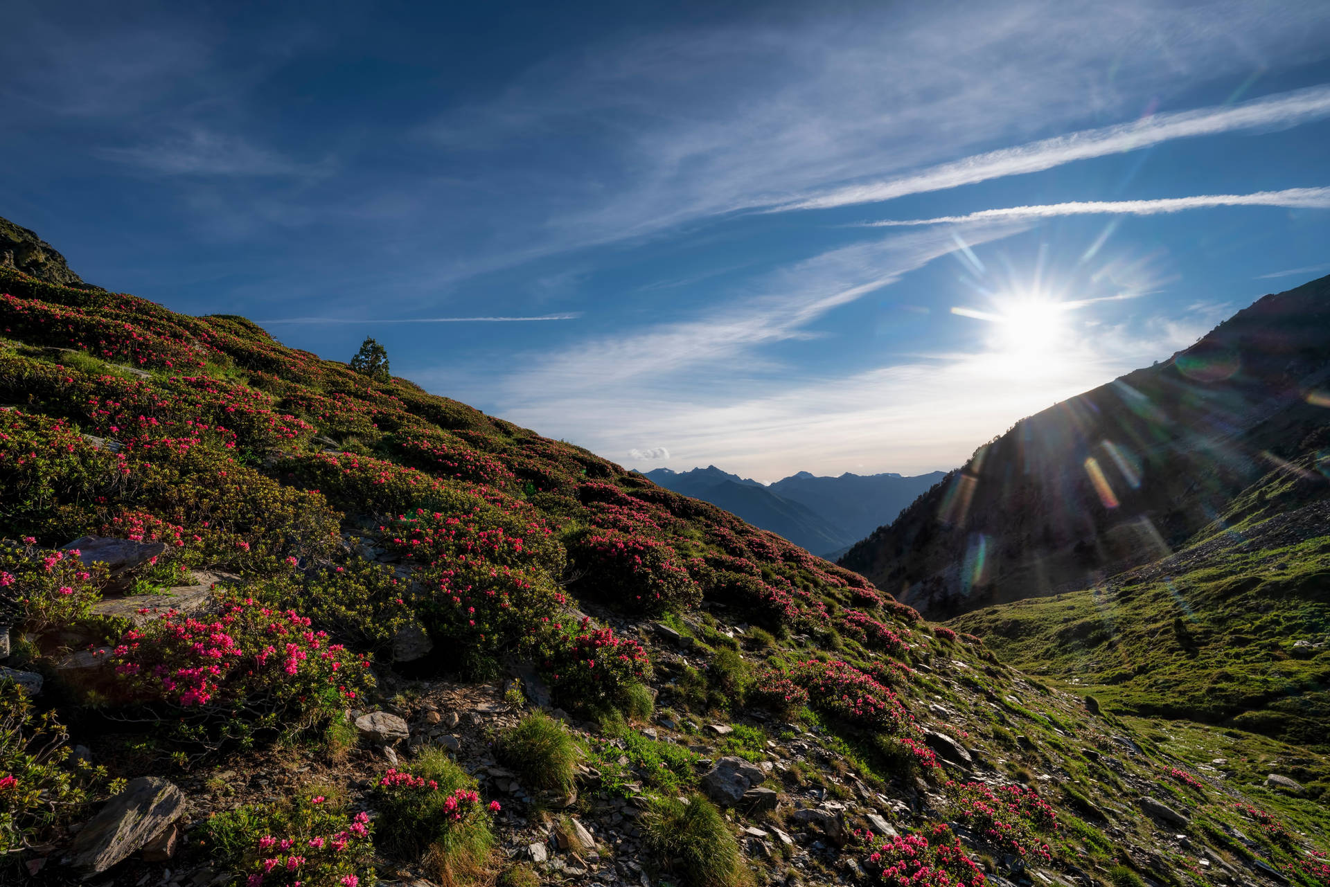 Flowery Mountain Andorra