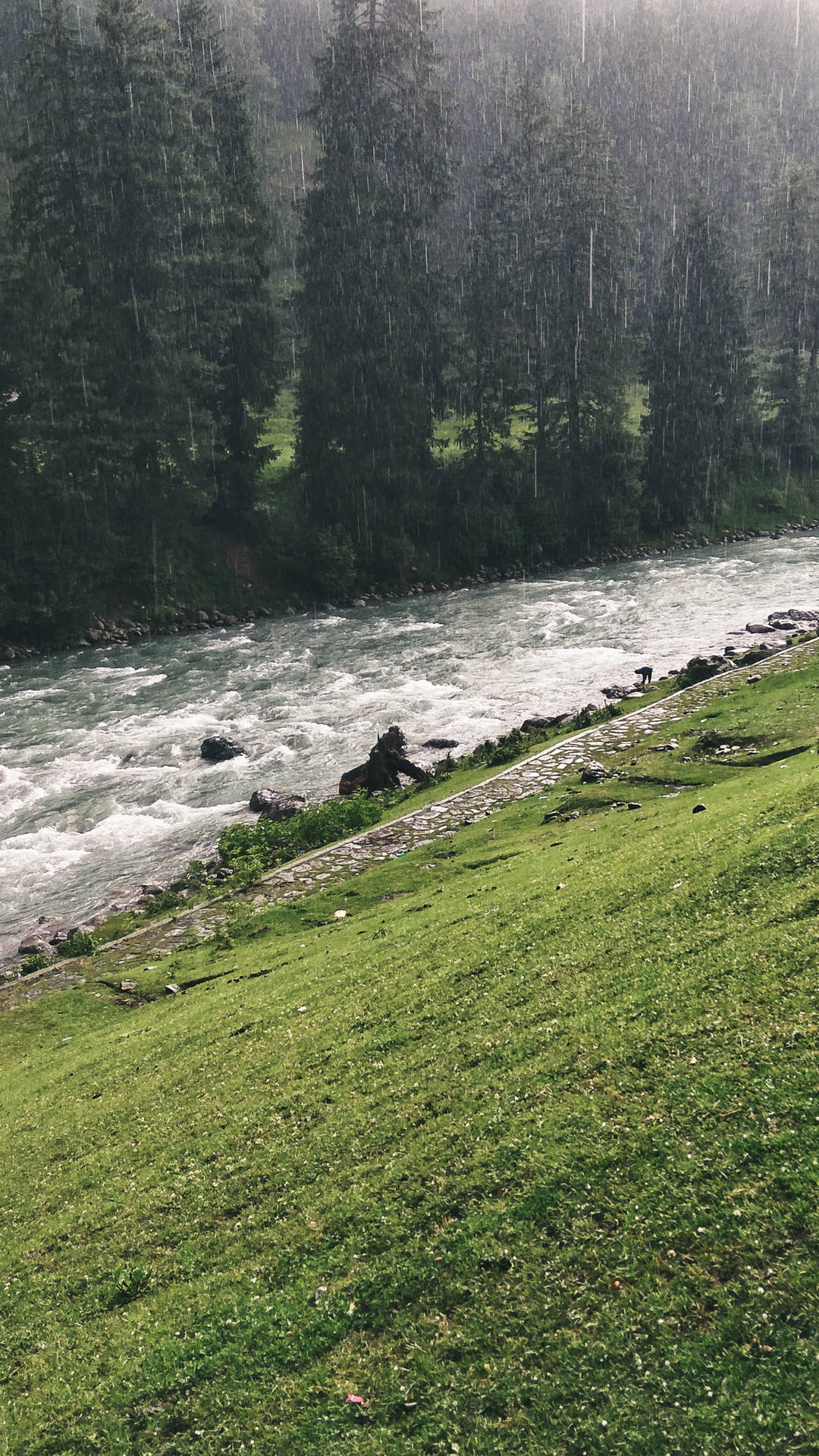 Flowing River Amidst Nature's Beauty Background