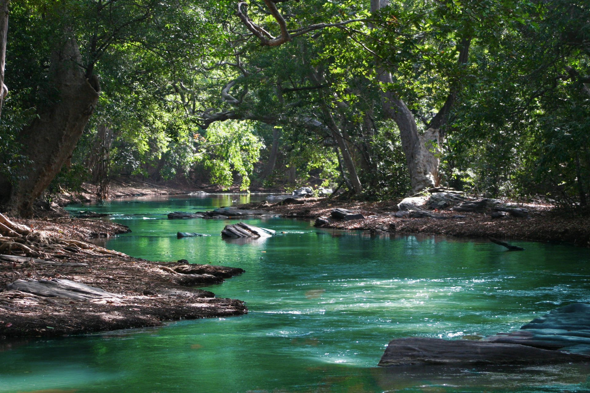 Flowing River Landscapes Background