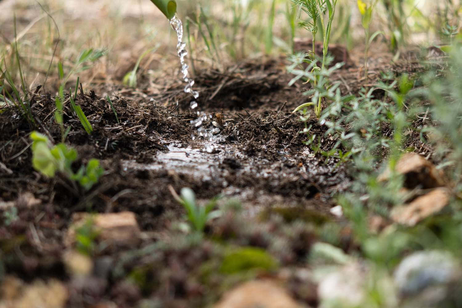 Flowing Water Into Soil And Plants Background