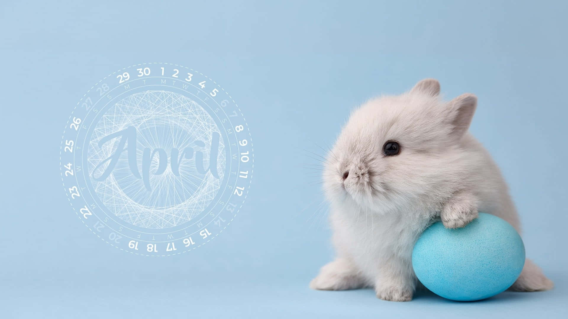 Fluffy Bunnywith April Egg Background