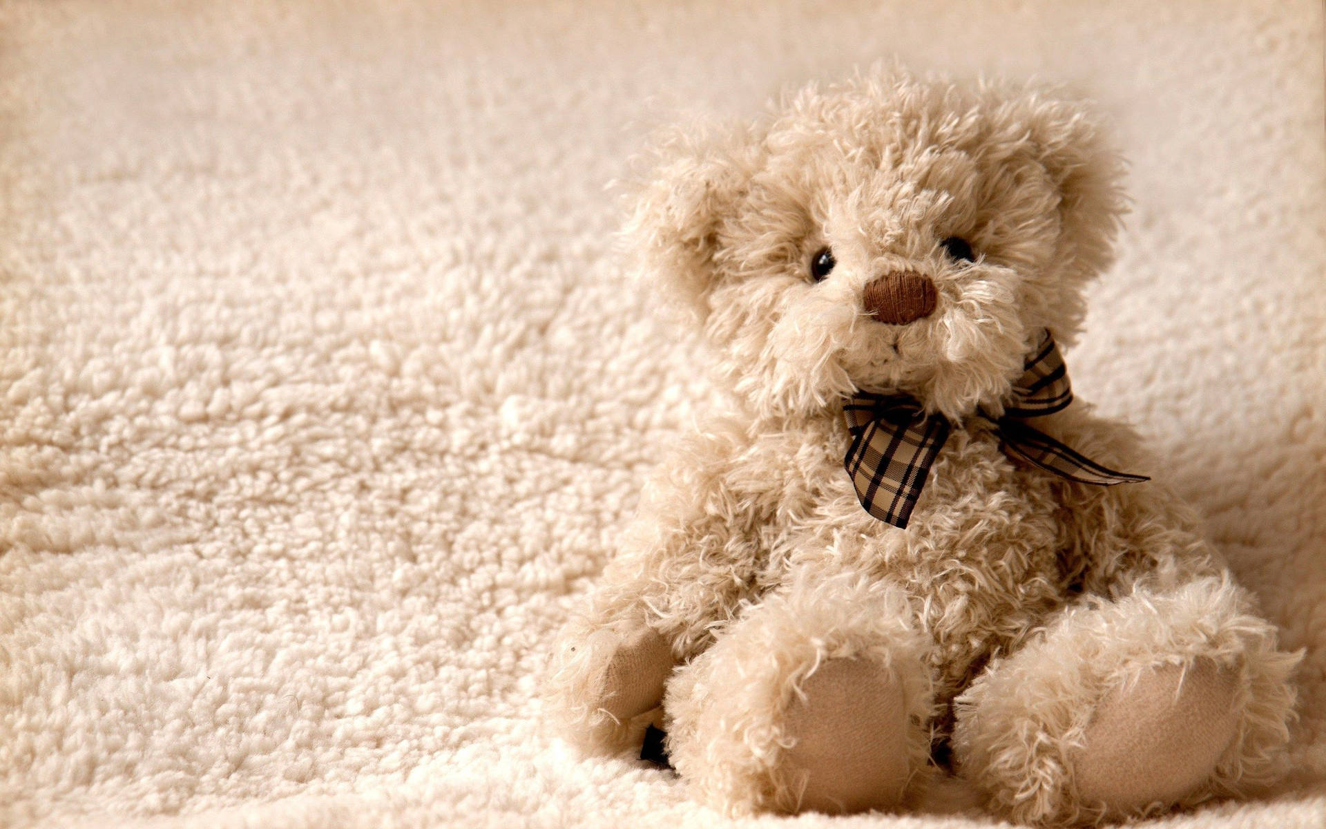 Fluffy Teddy Bear Background