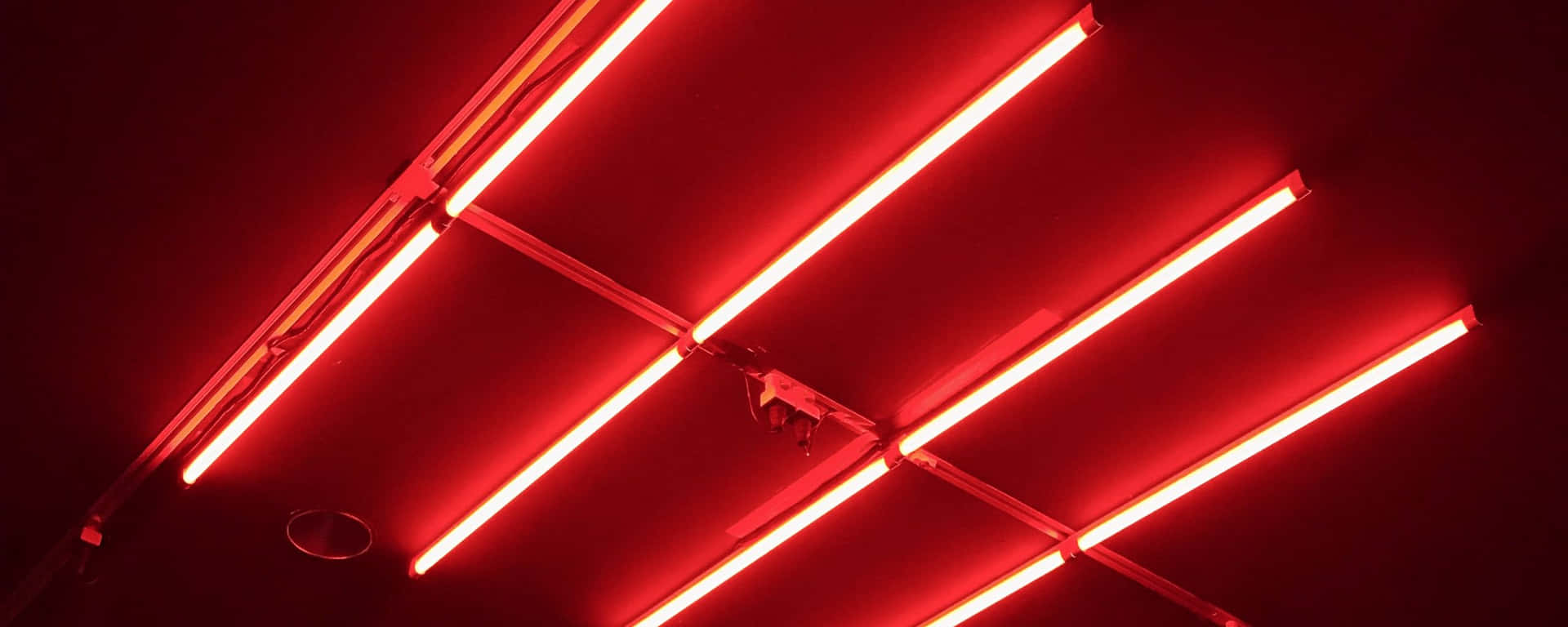 Fluorescent Light Red Ultra Wide Hd