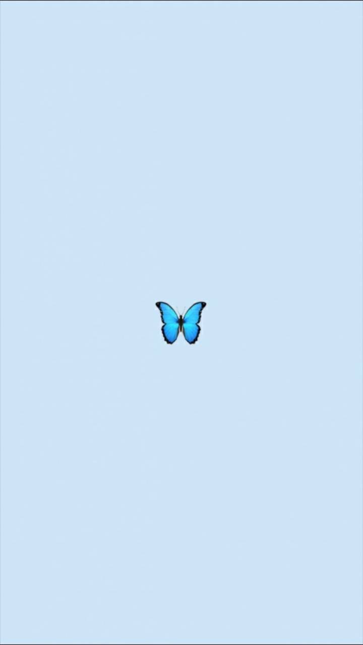 Flutter Through Life✨ Background