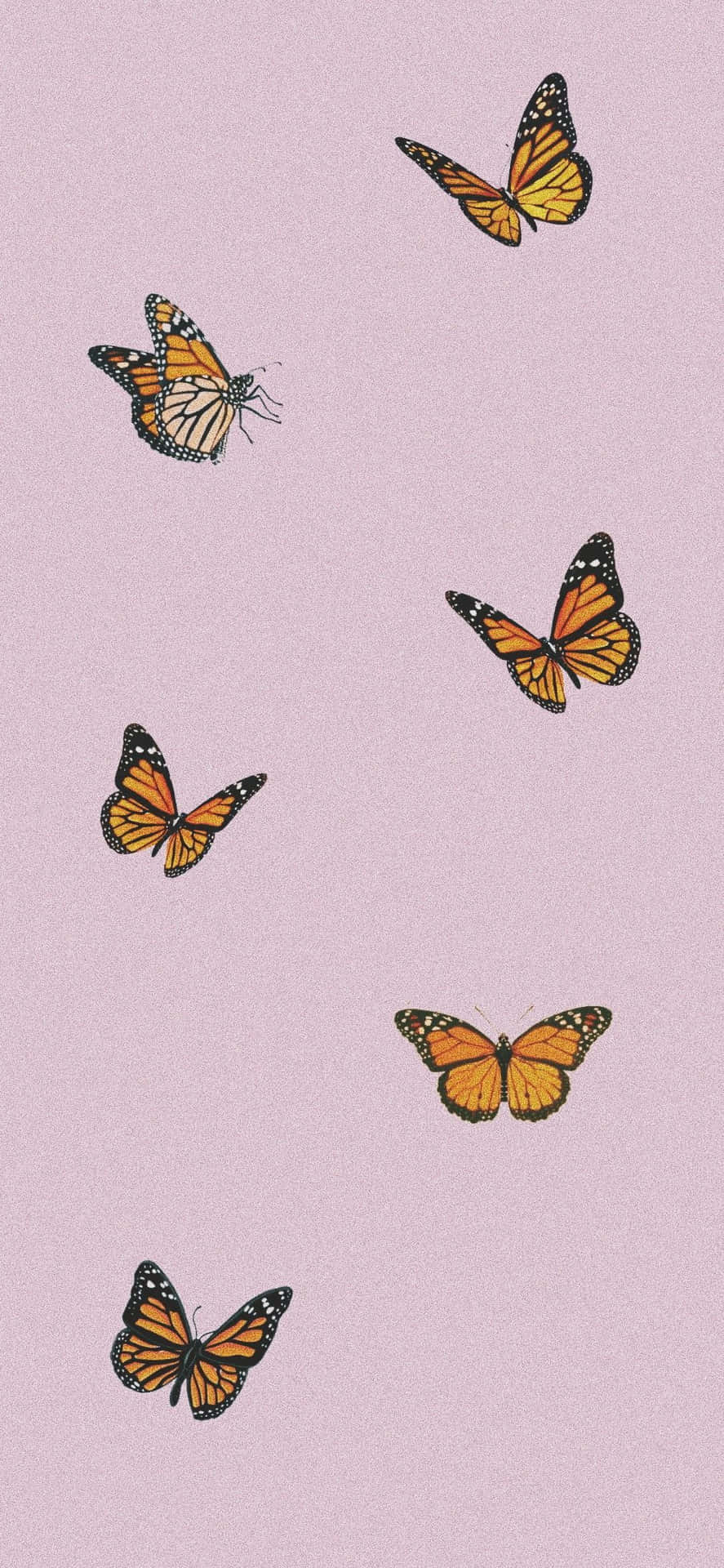 Fluttering Free And Happy Background