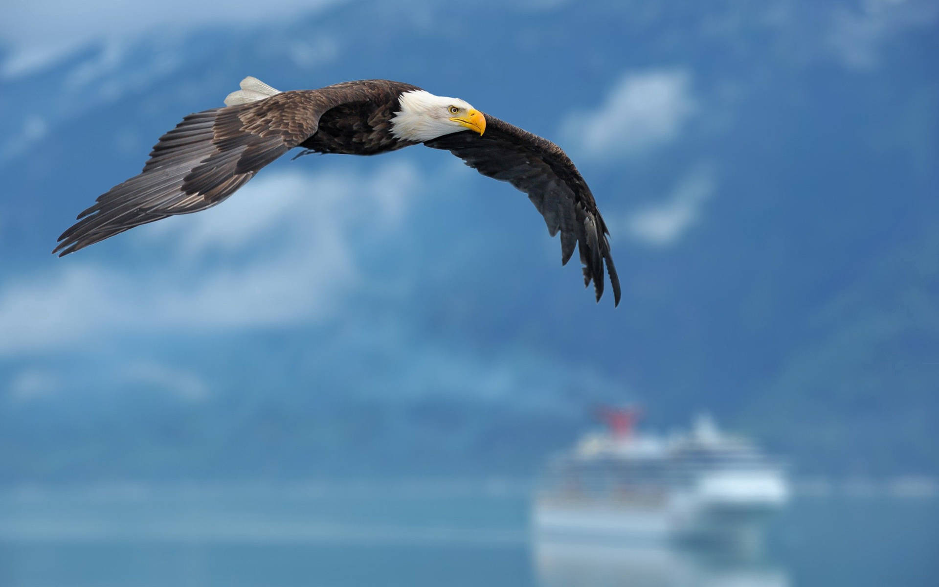 Flying Bald Eagle With Boat Background