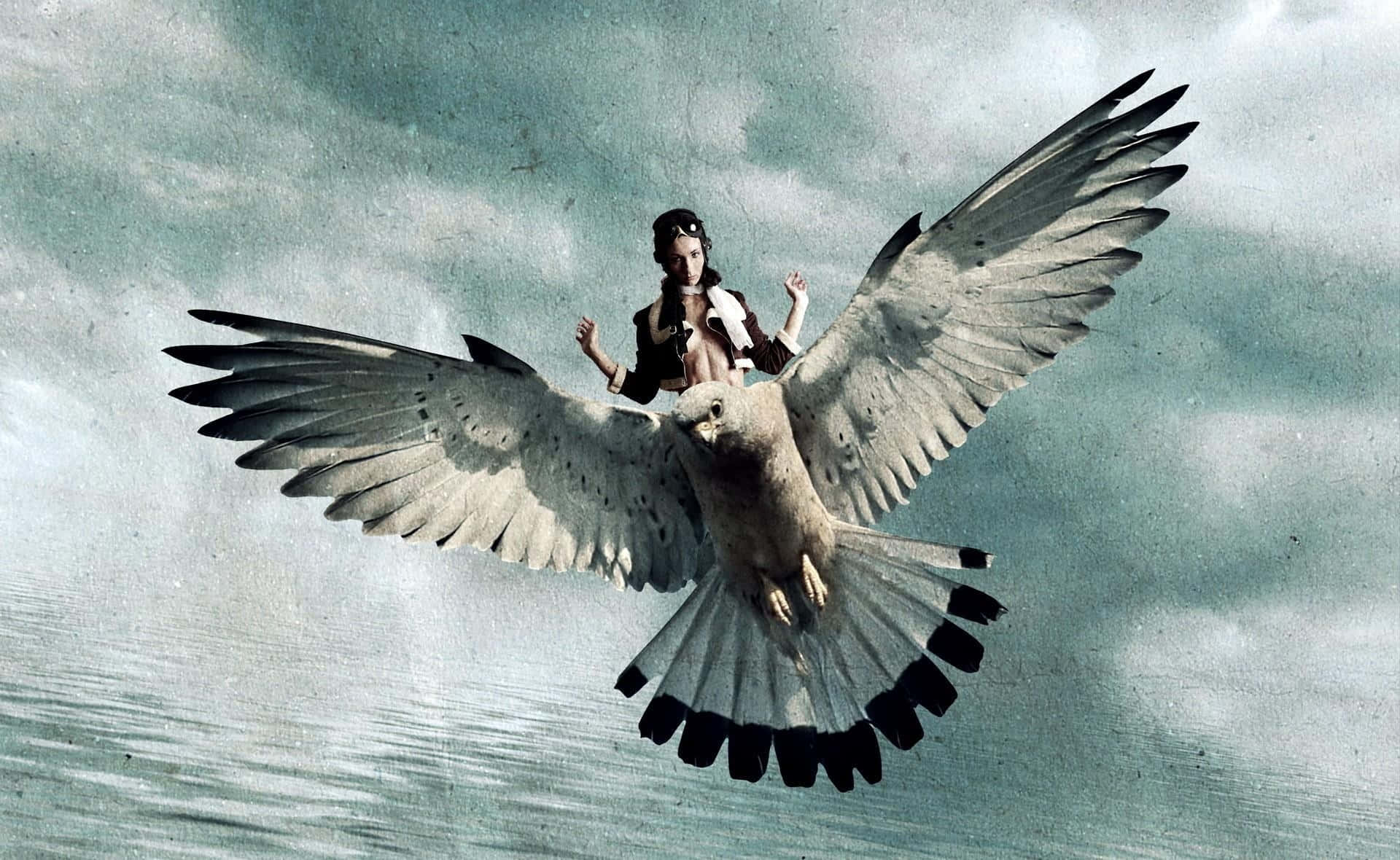 Flying Bird And A Girl Background