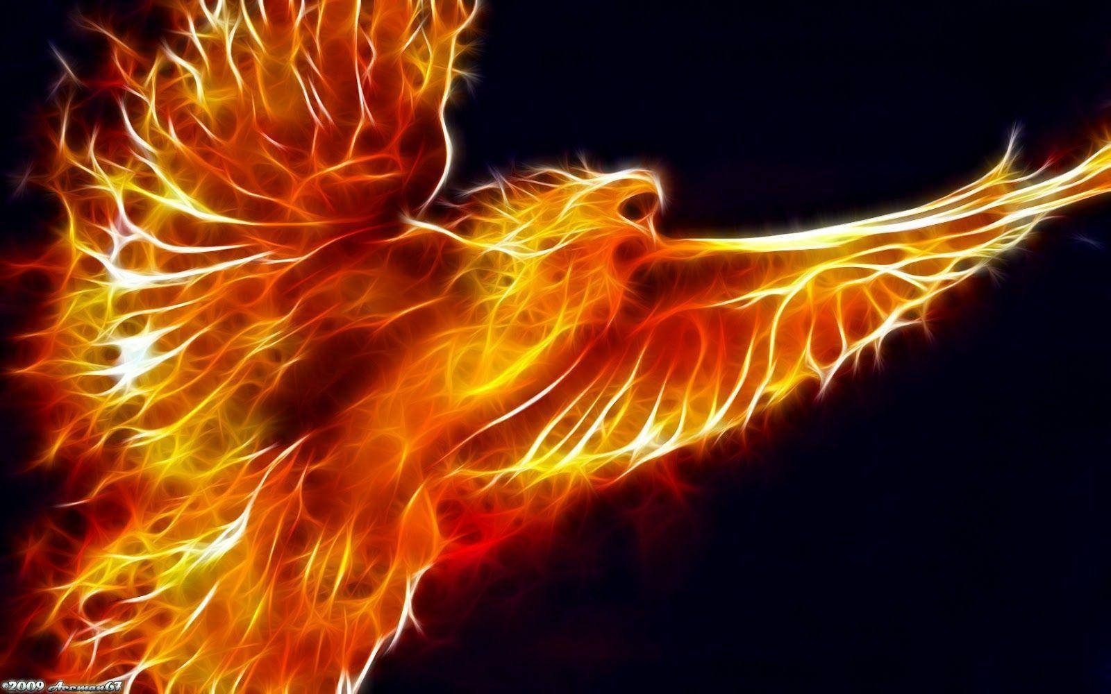 Flying Bird Fire Background Background