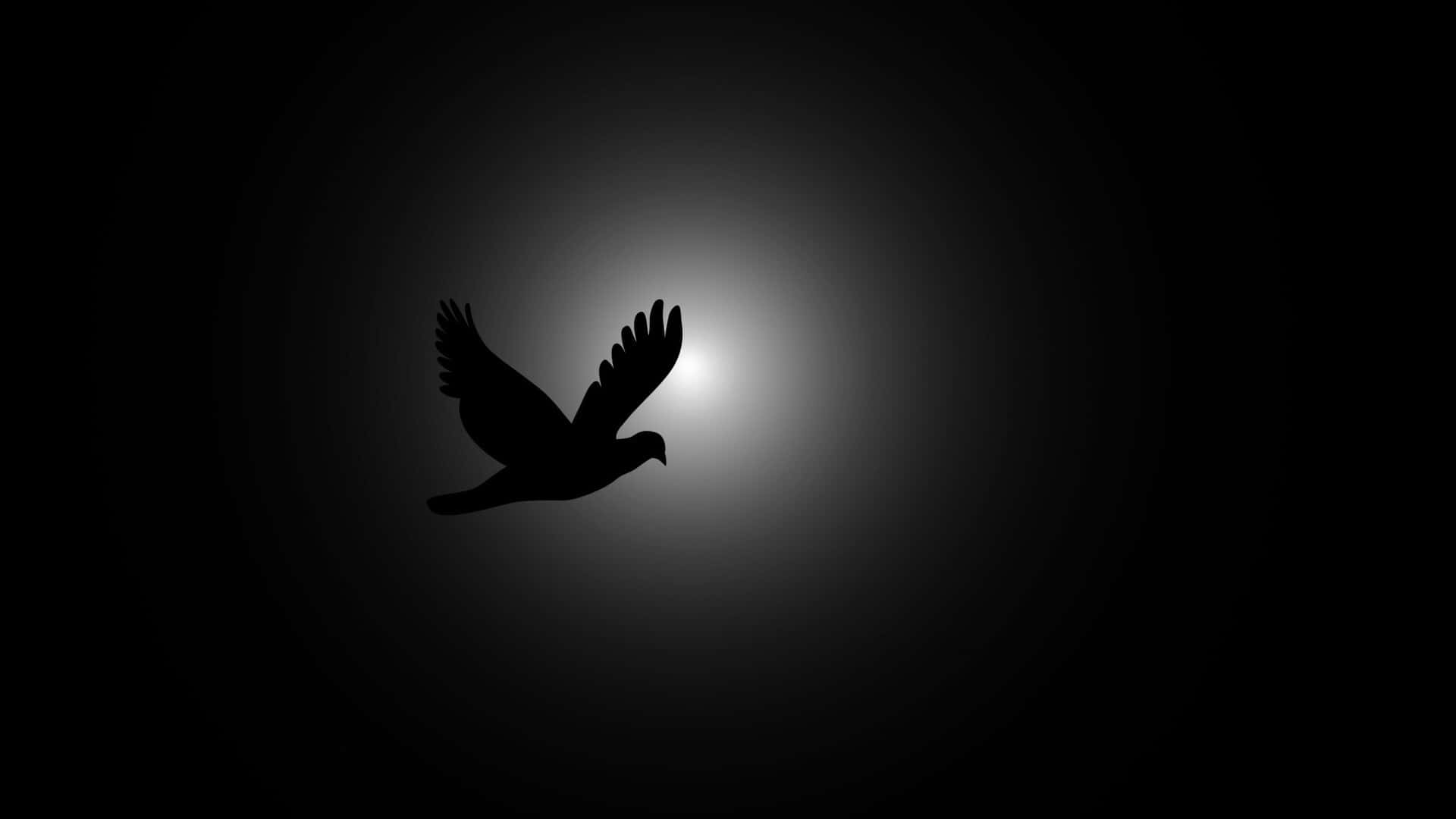 Flying Bird Silhouette Of A Dove Background