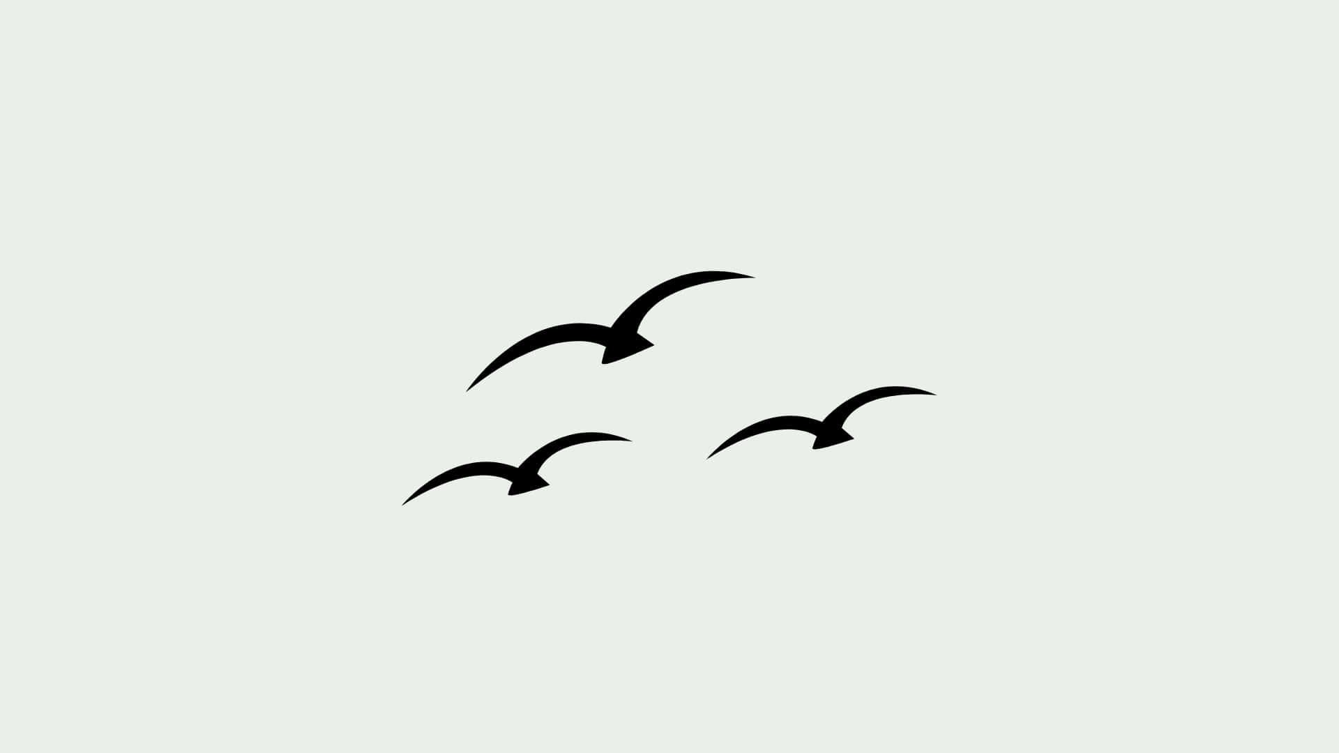 Flying Birds Sage Green Laptop Background