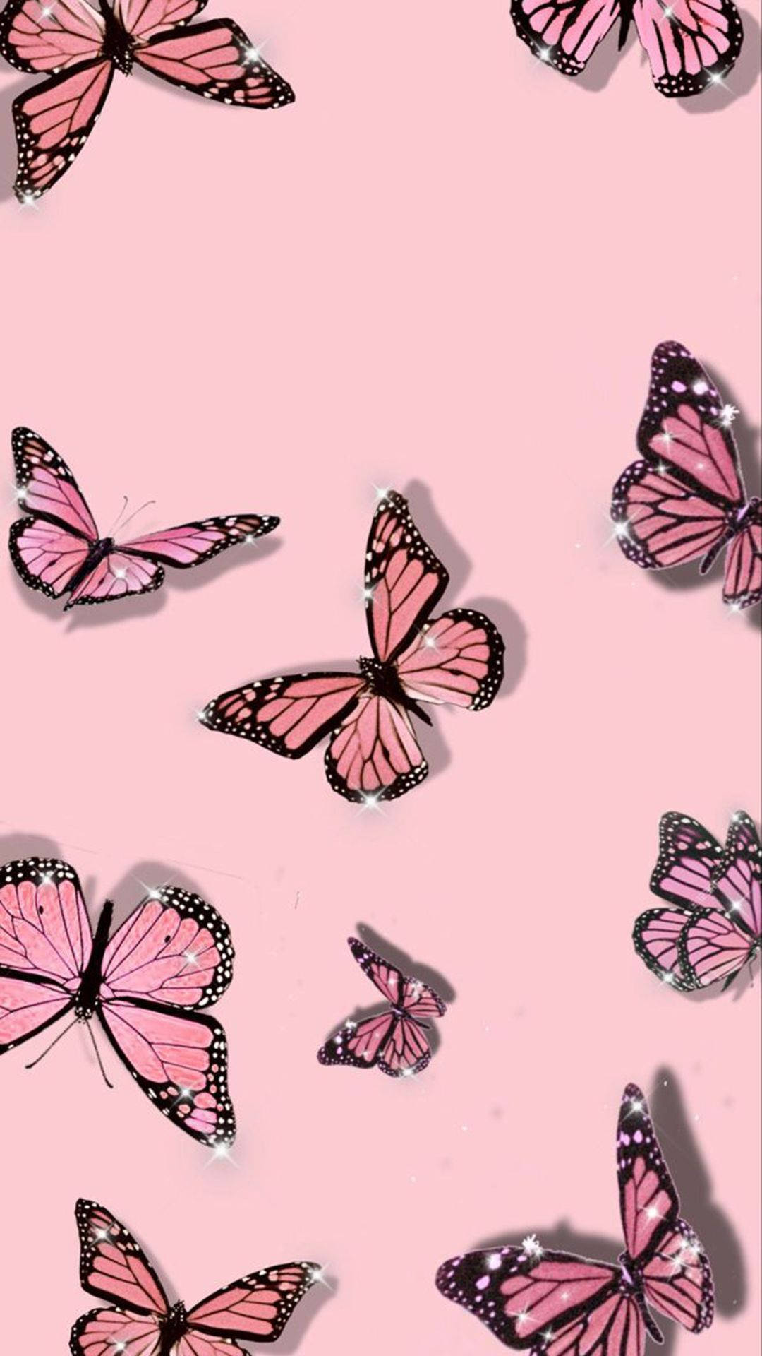 Flying Butterflies On Aesthetic Pink