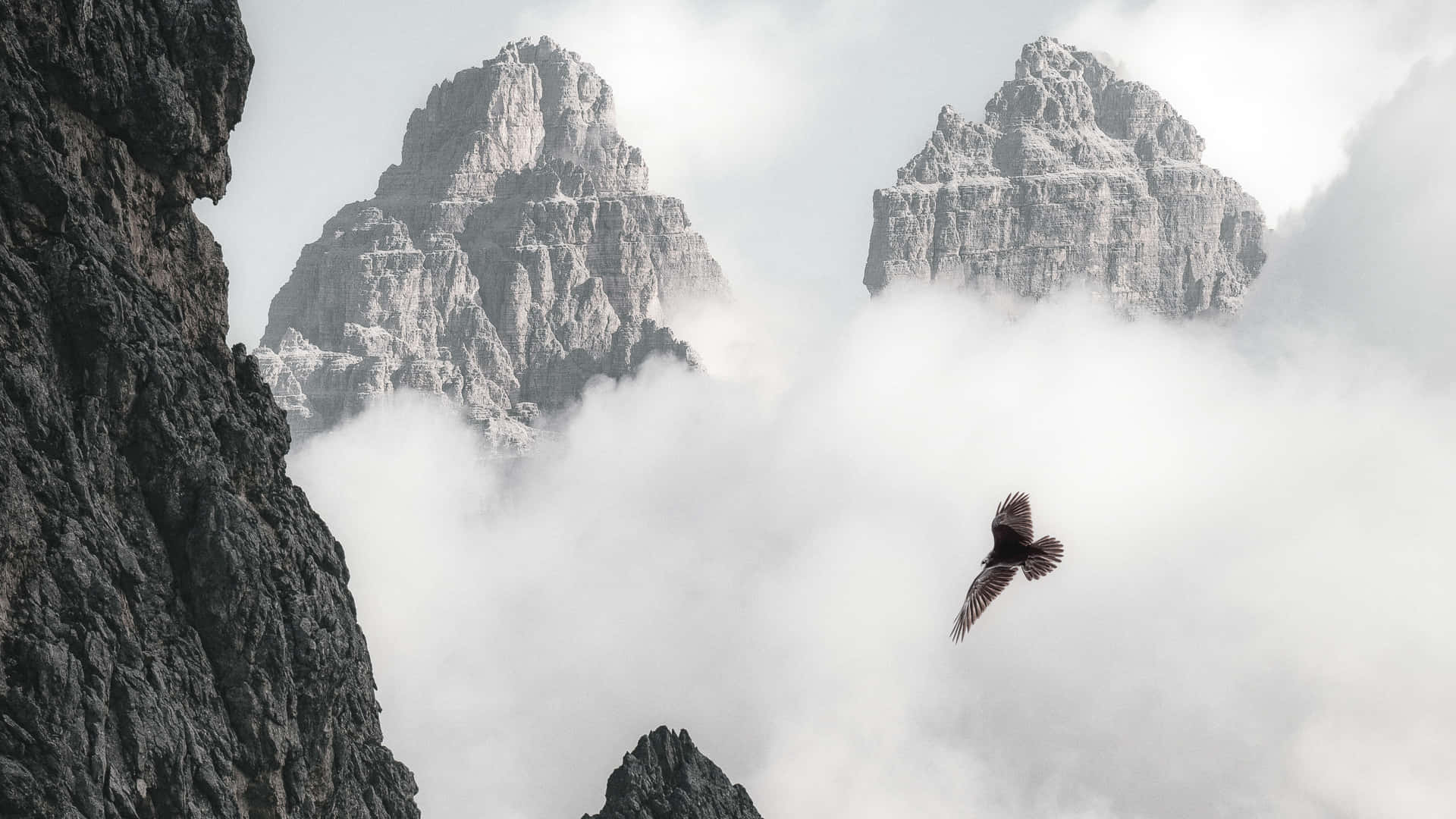 Flying Eagle On A Mountainous Landscape Background