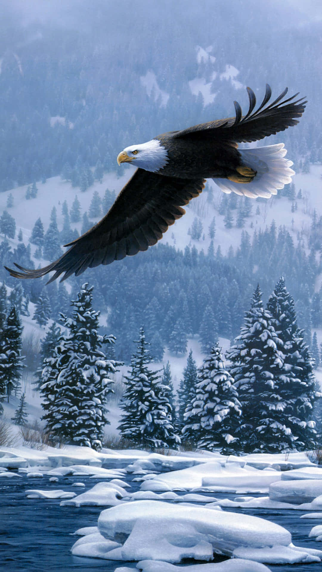 Flying Eagle On A Taiga Forest Background