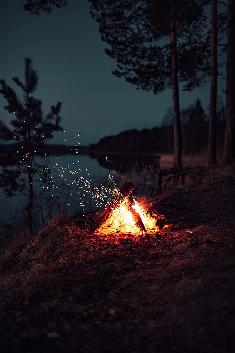 Flying Embers Lake Campfire Background