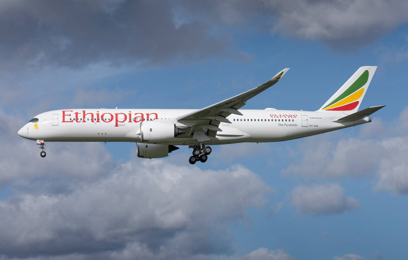 Flying Ethiopian Airlines Airplane