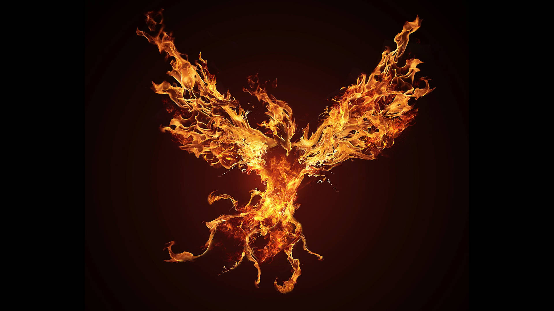 Flying Fire Phoenix Hd Background