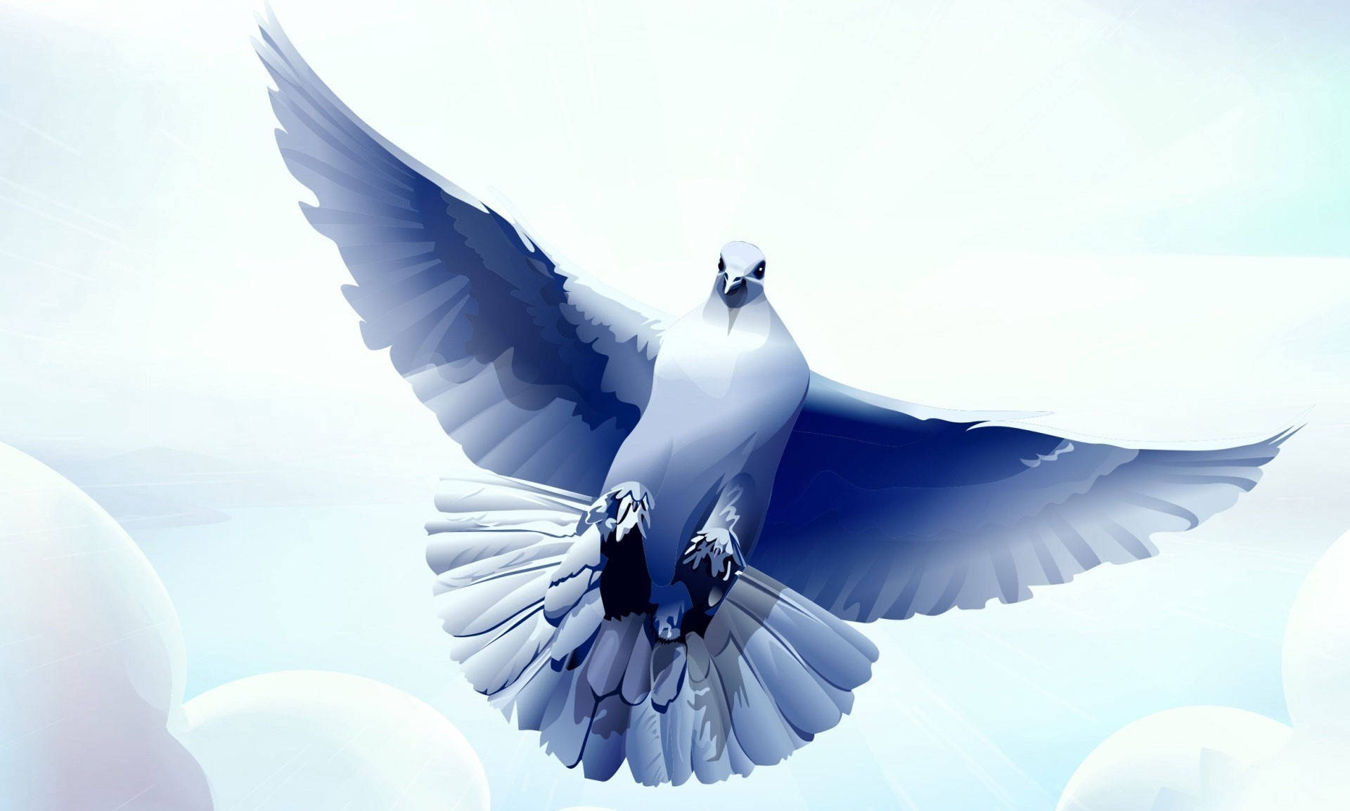 Flying Gray Dove Low Angle Digital Art Background