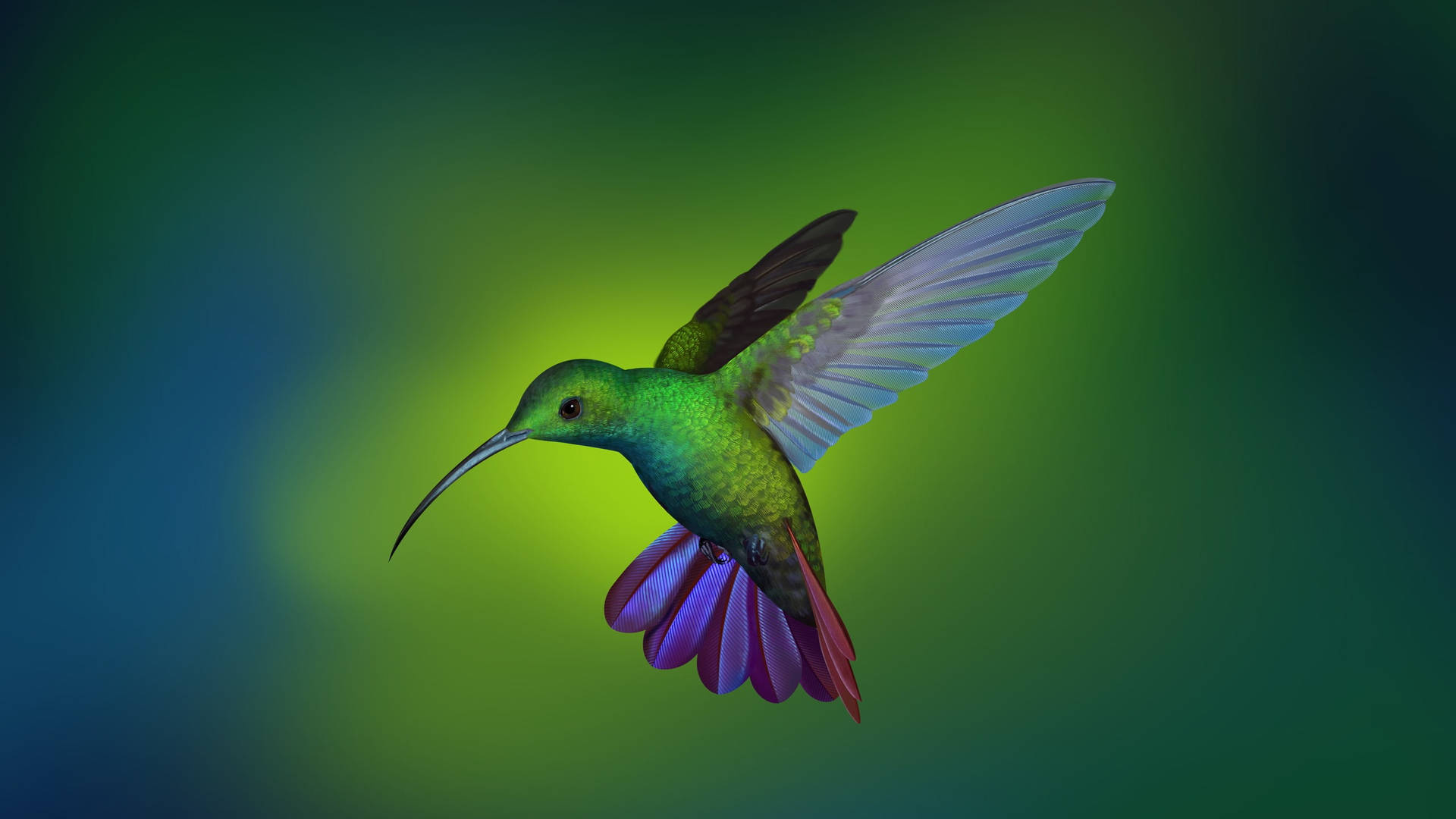Flying Hummingbird In Digital Art Background