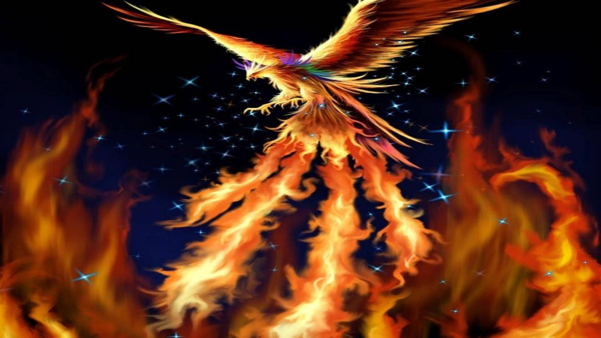 Flying Phoenix On Fire Background