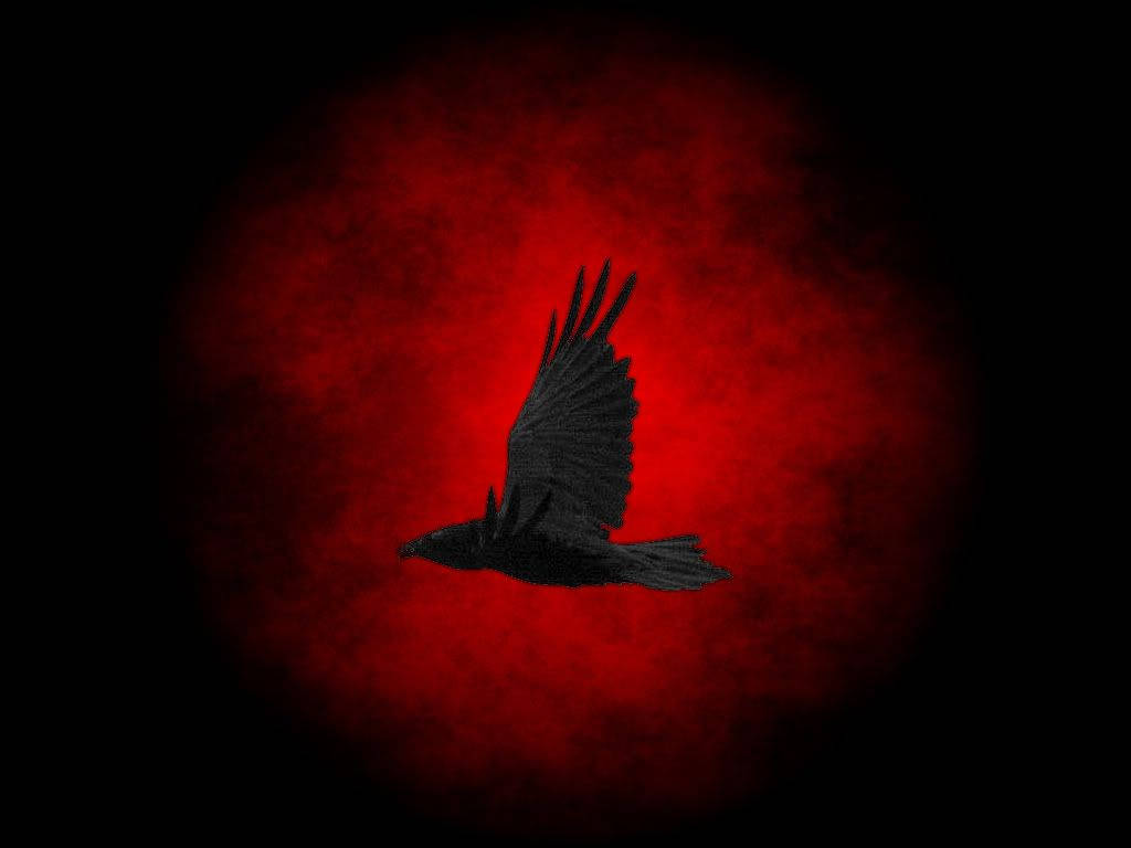 Flying Raven In Darkness