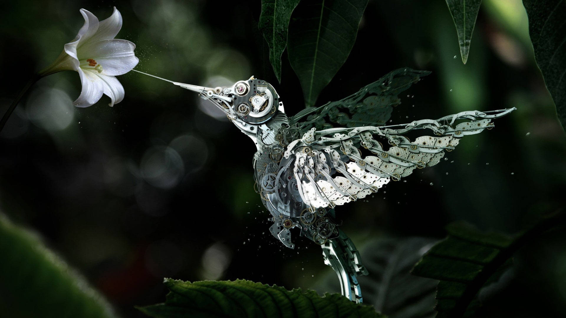Flying Robotic Hummingbird Background