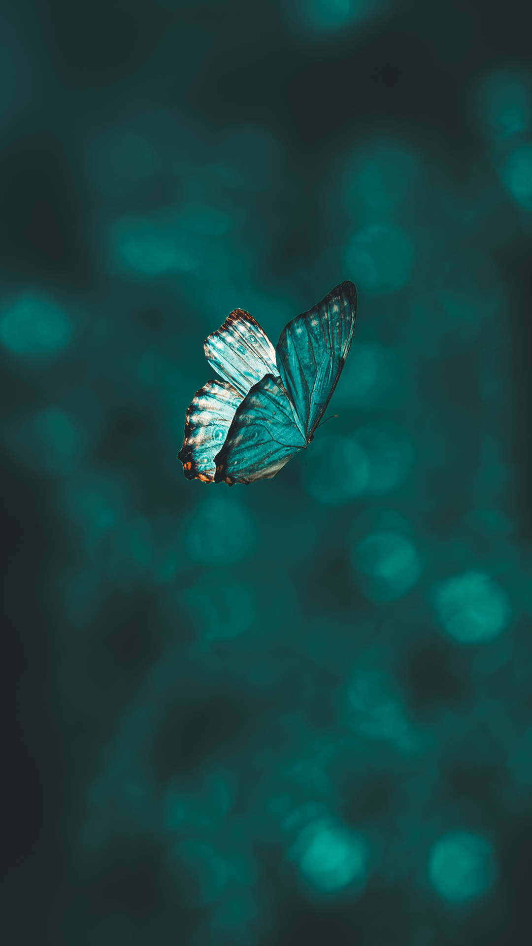 Flying Small Blue Pastel Butterfly Background