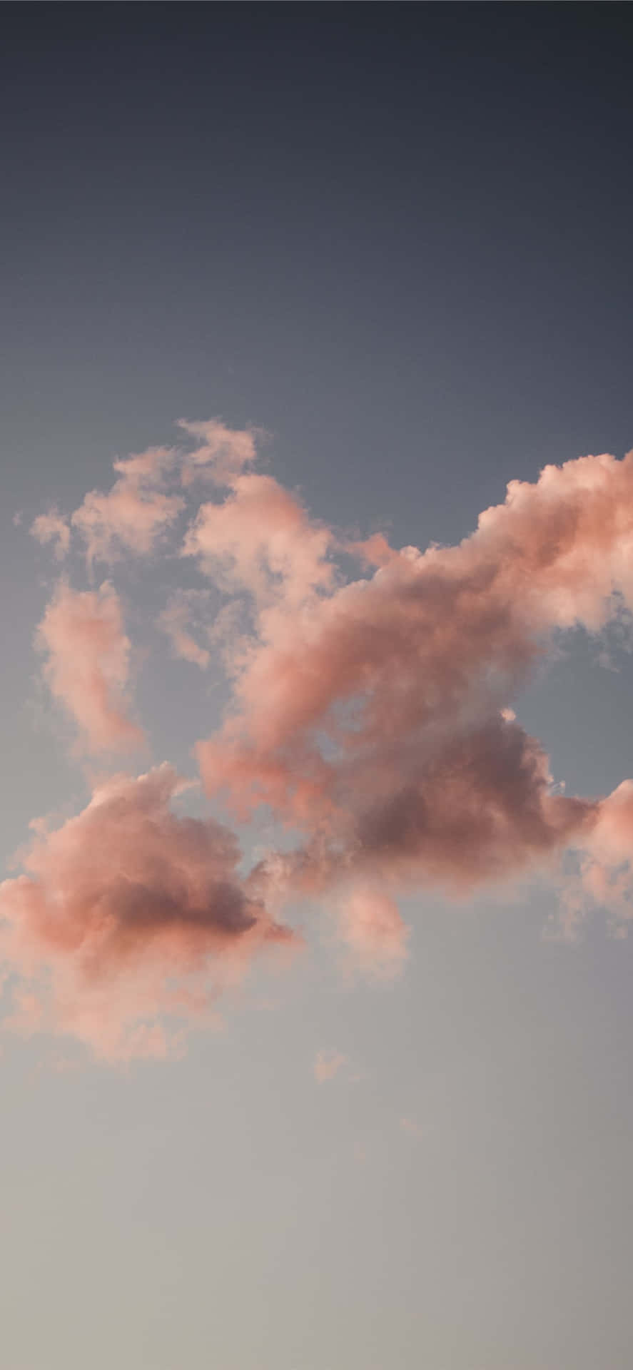 Flying Through The Expanse Of White Clouds