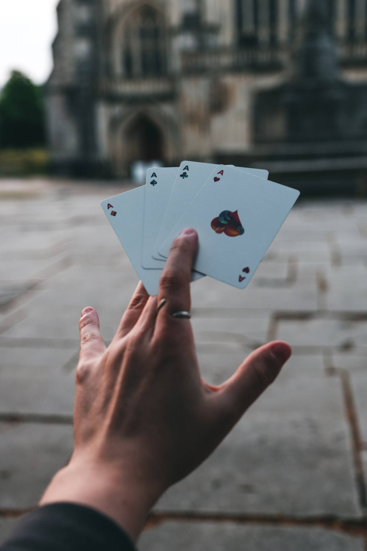 Focus Hand Holding Playing Cards