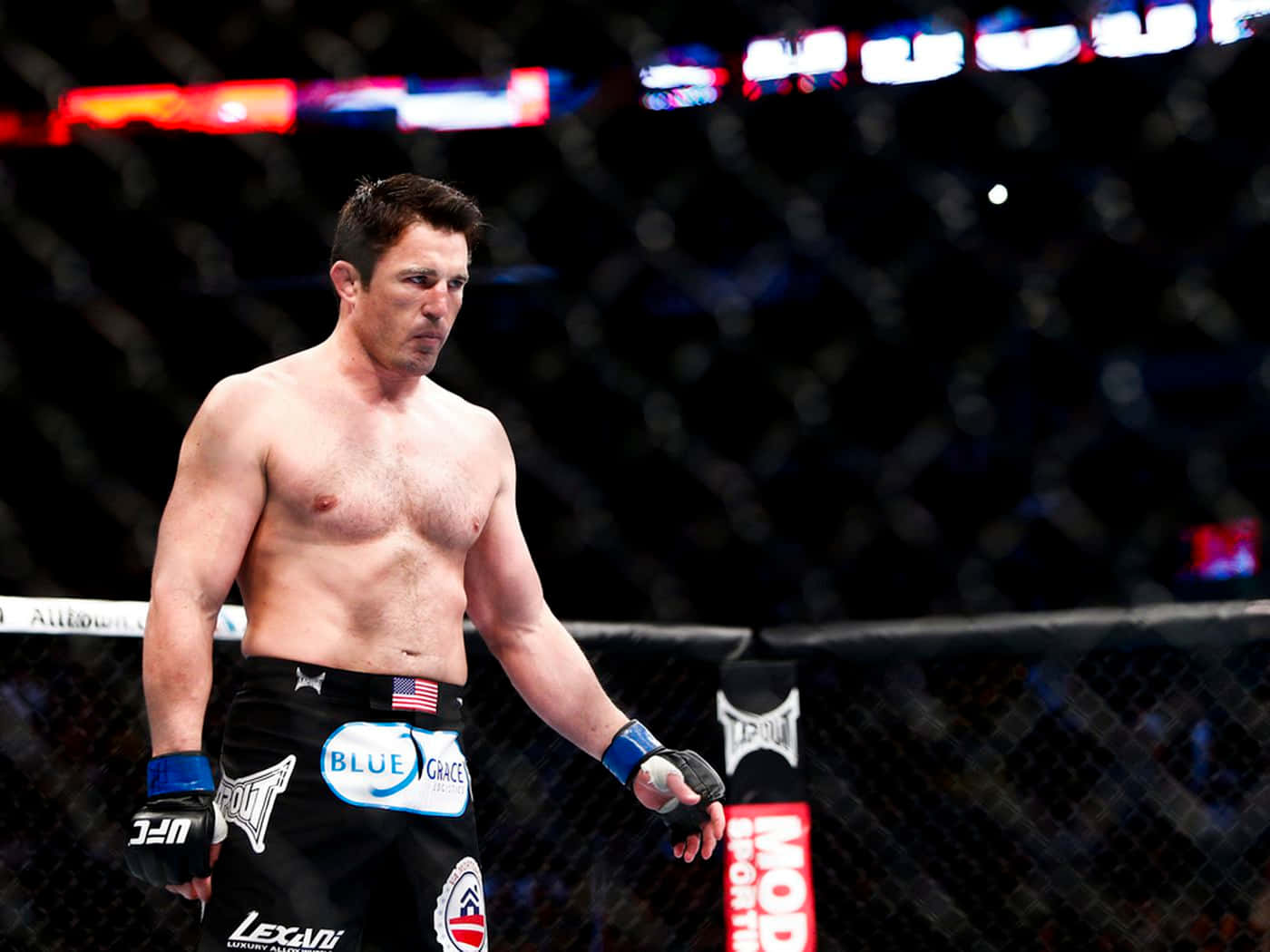 Focus Photo Chael Sonnen Background